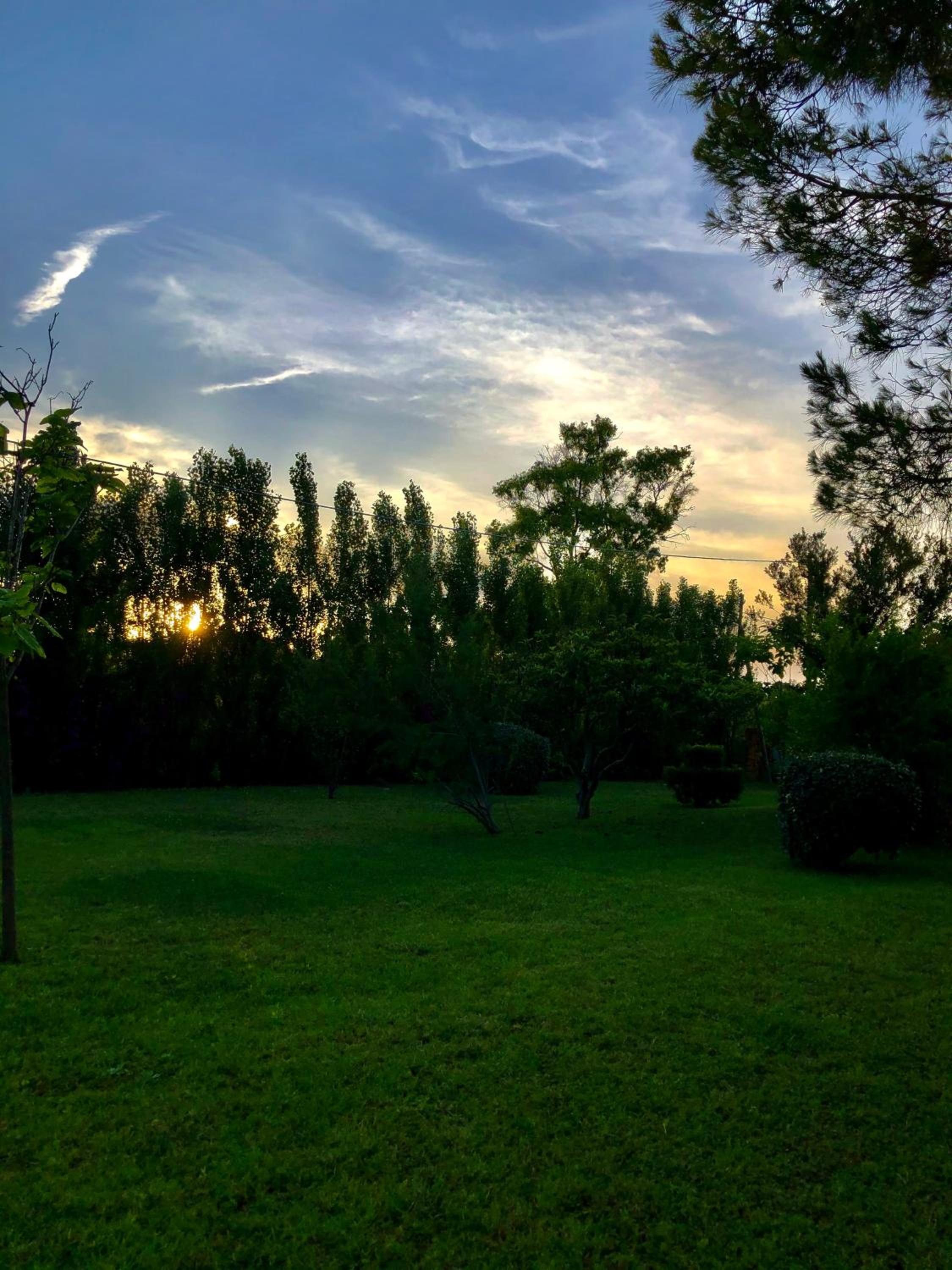 Photo 52
