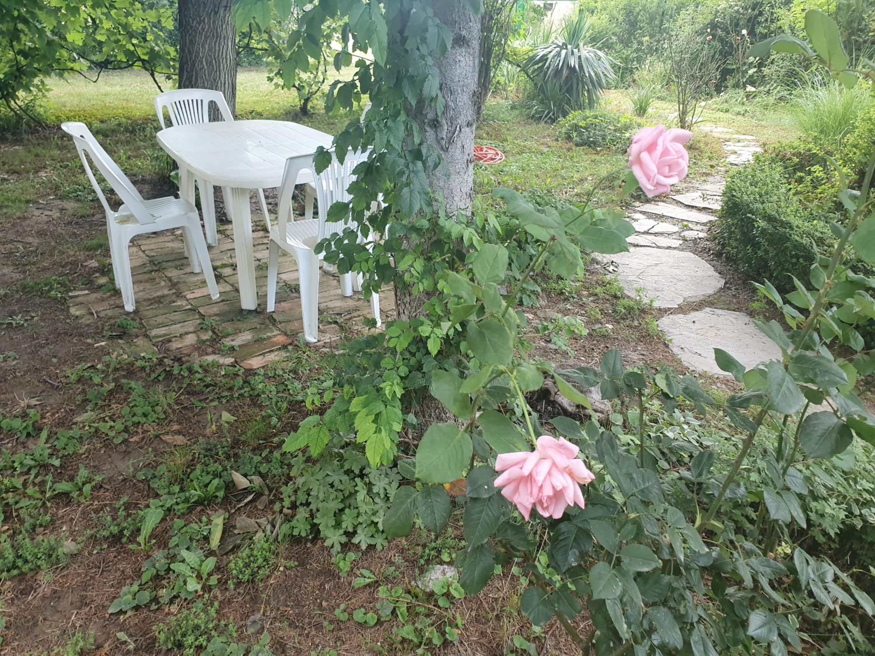 Photo 33