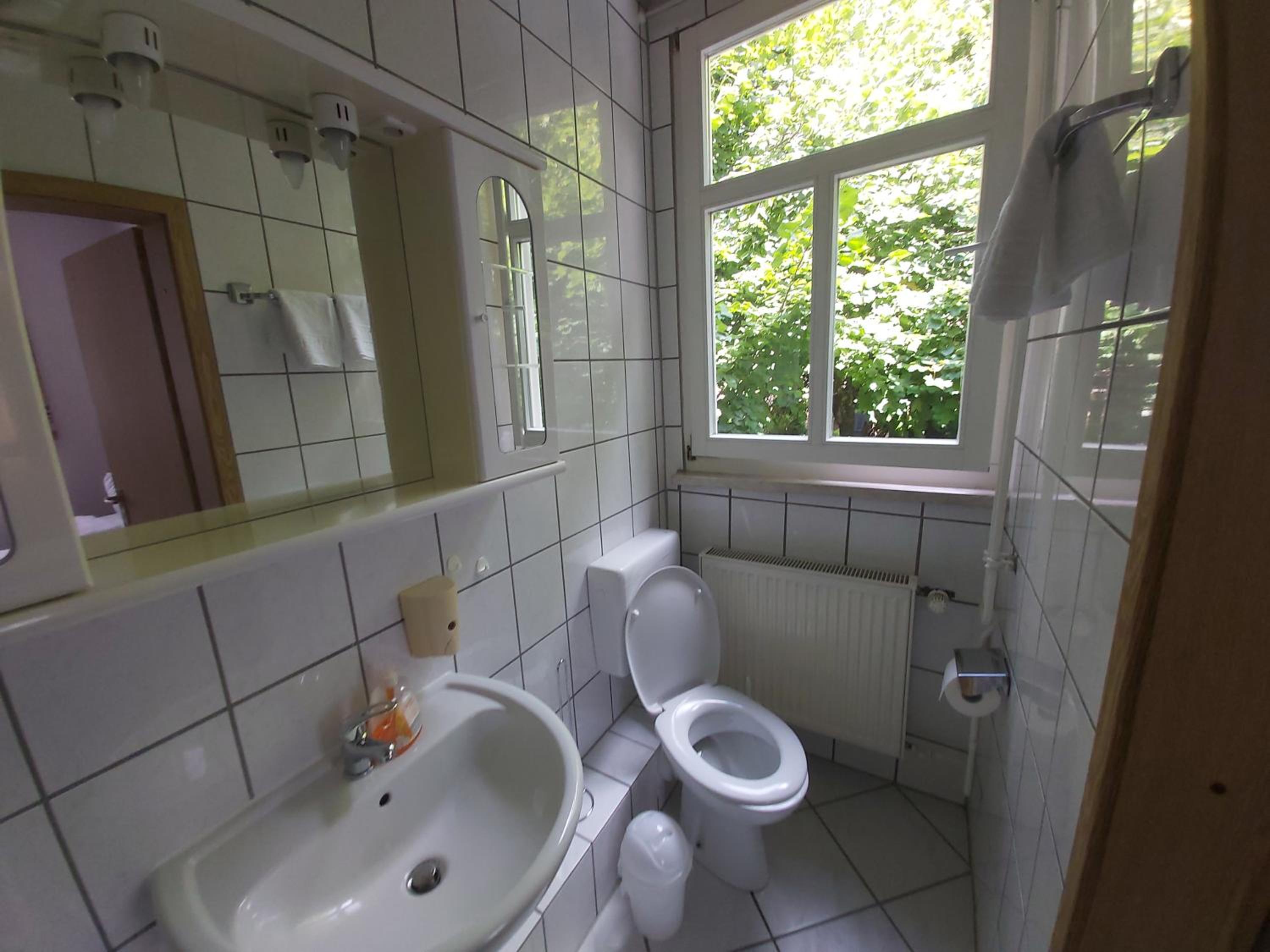 Schwarzer Adler view 4