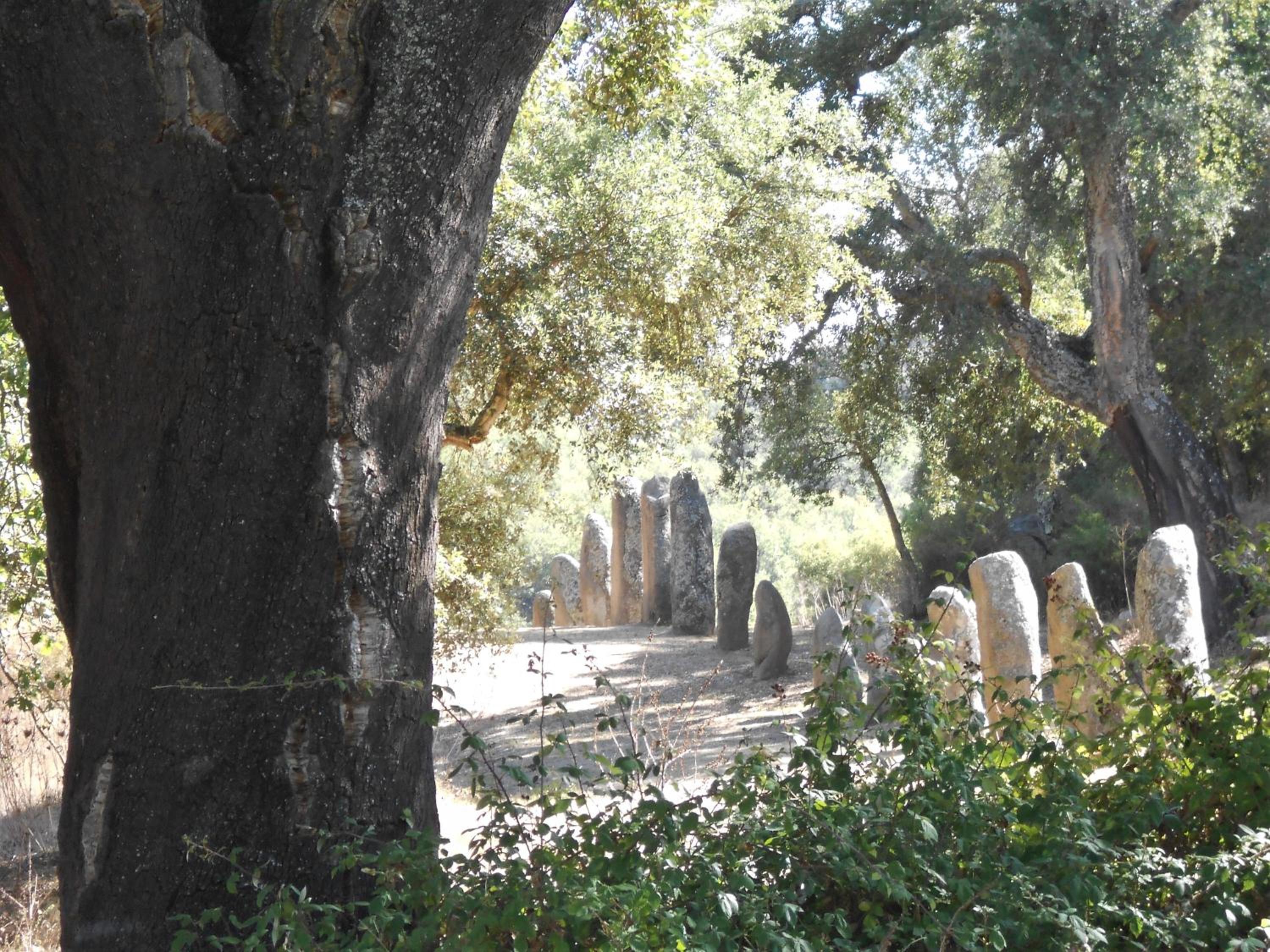 B&B I Menhir