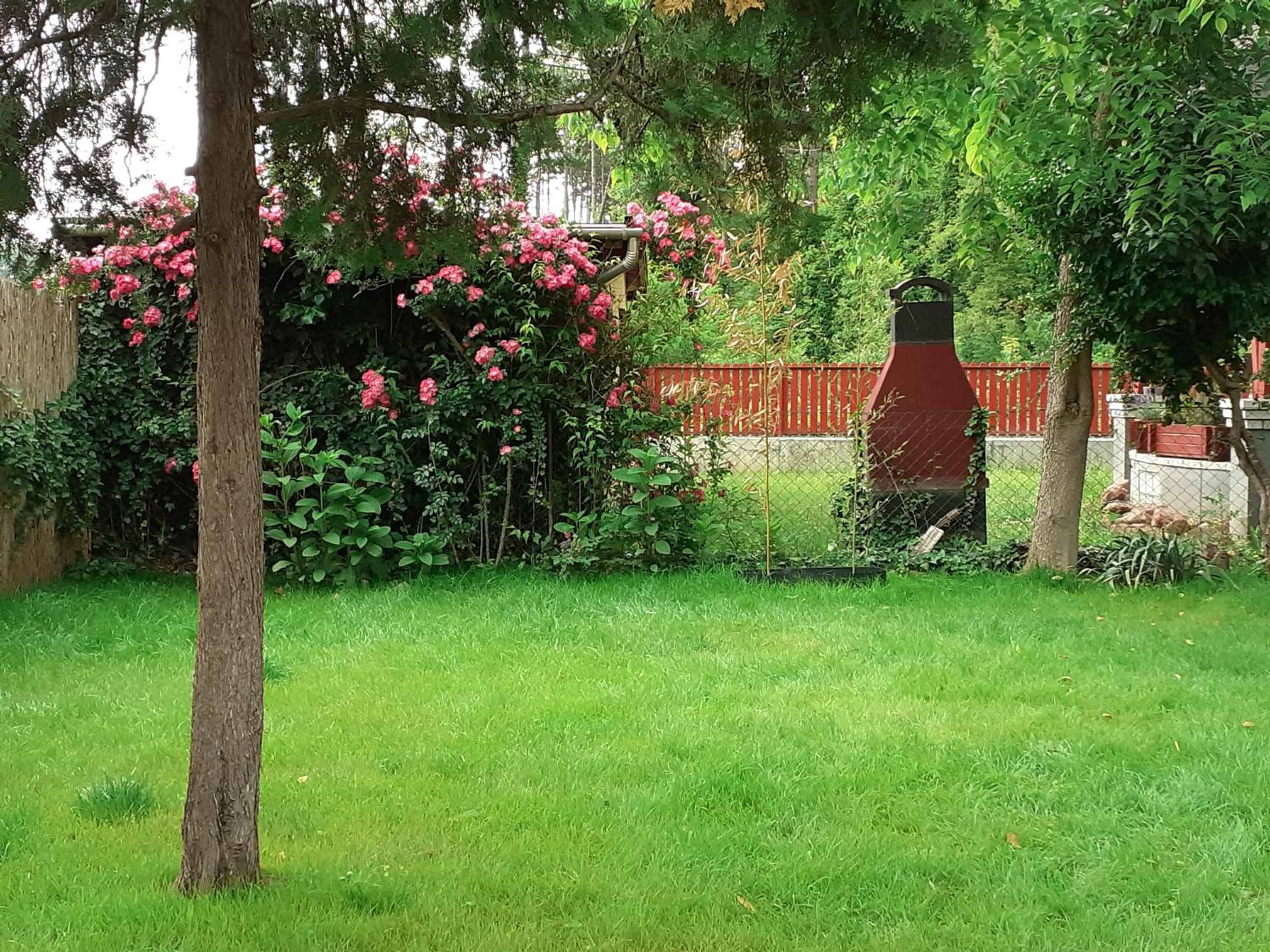 Nature apartman view 2