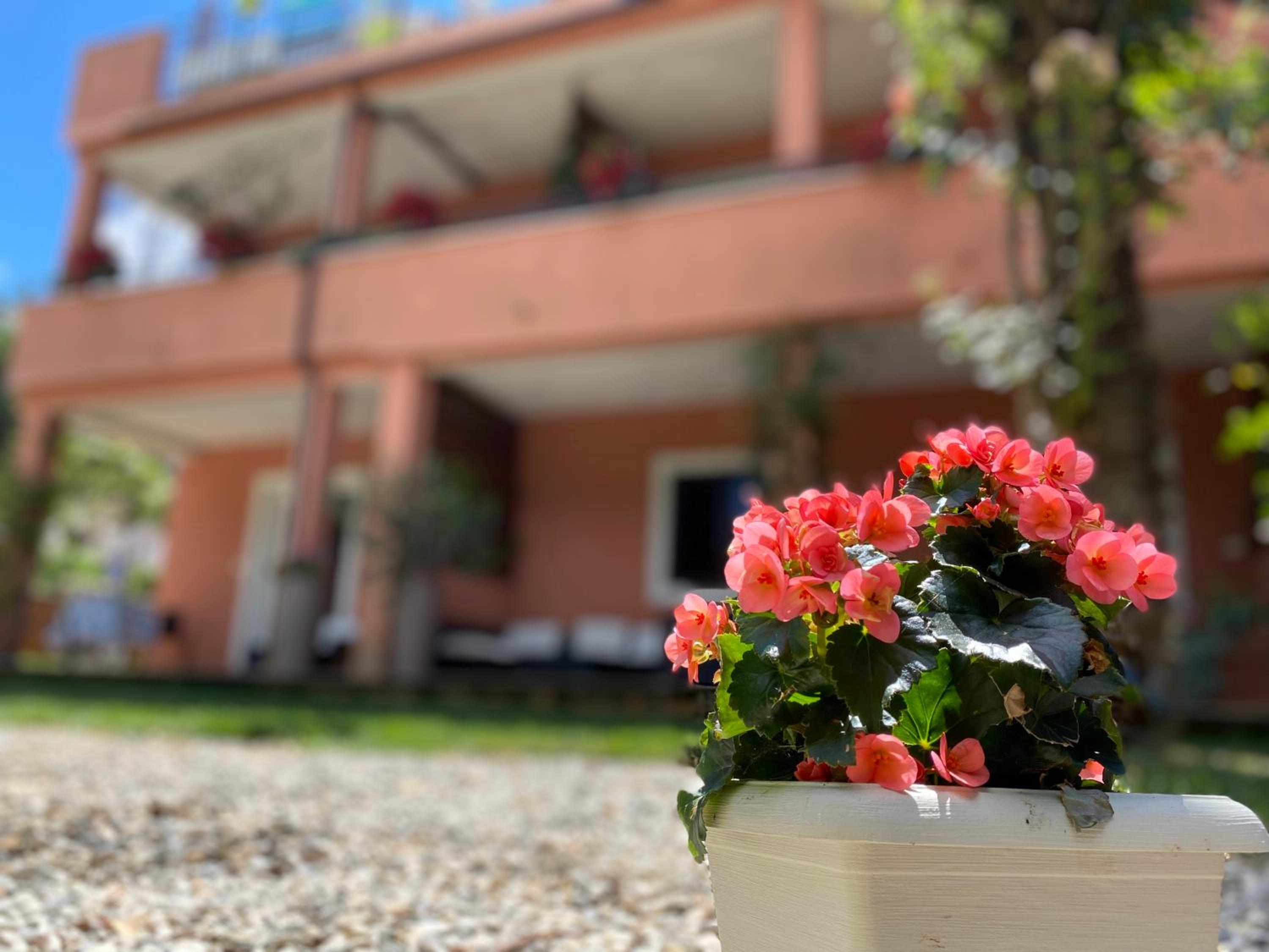Apartments Tajana view 3