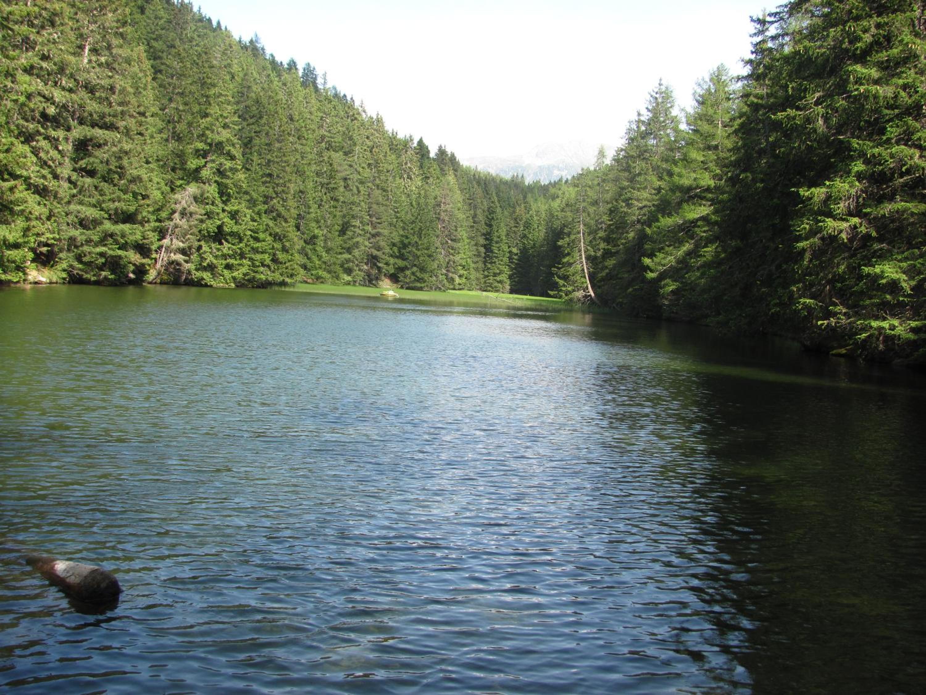 Photo 25