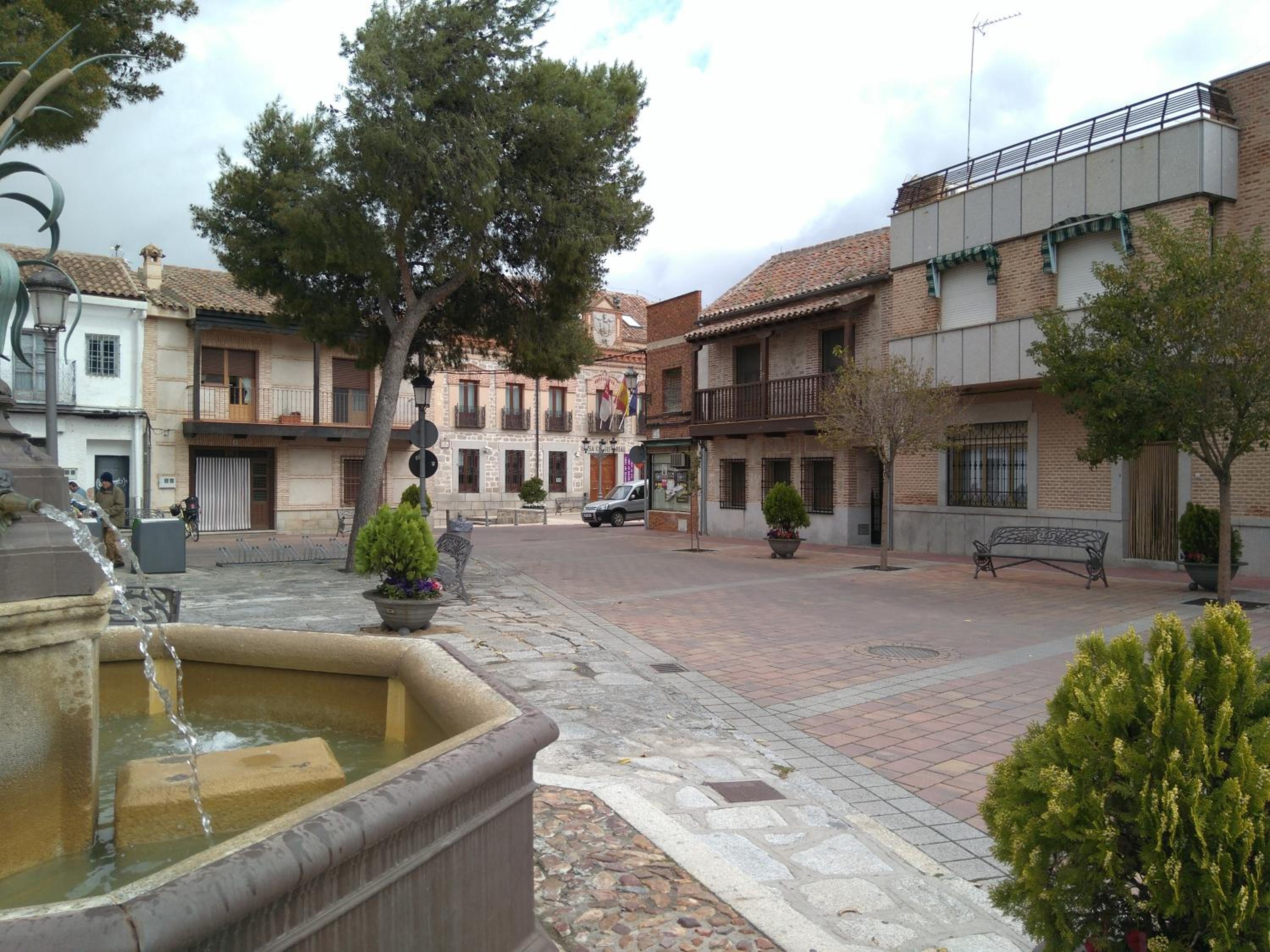 Photo 15