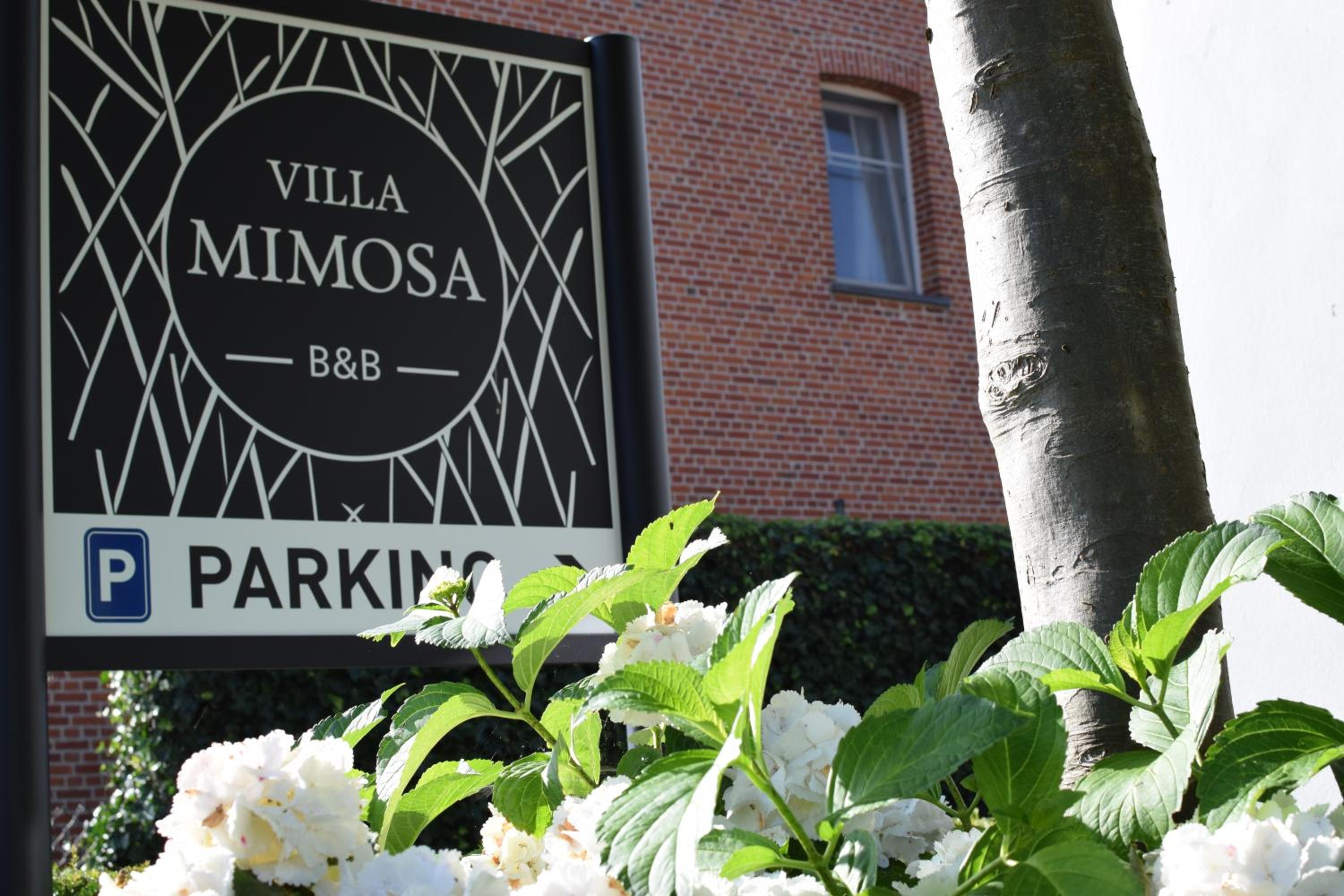 B&B Villa Mimosa
