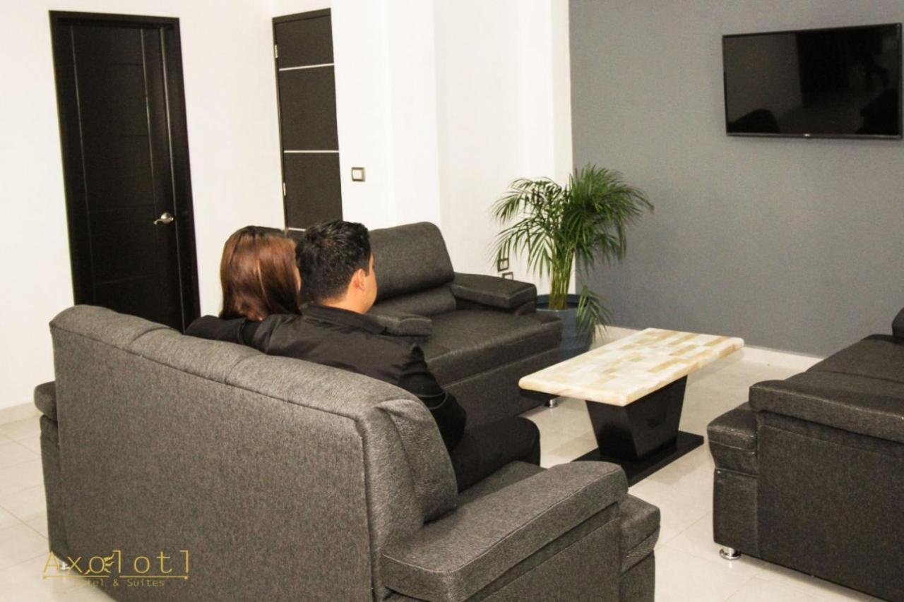 Hotel Y Suites Axolotl