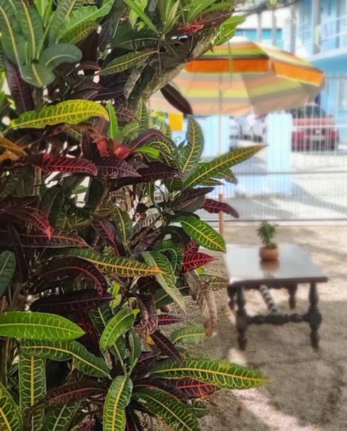 TERRAÇO DA BARRA