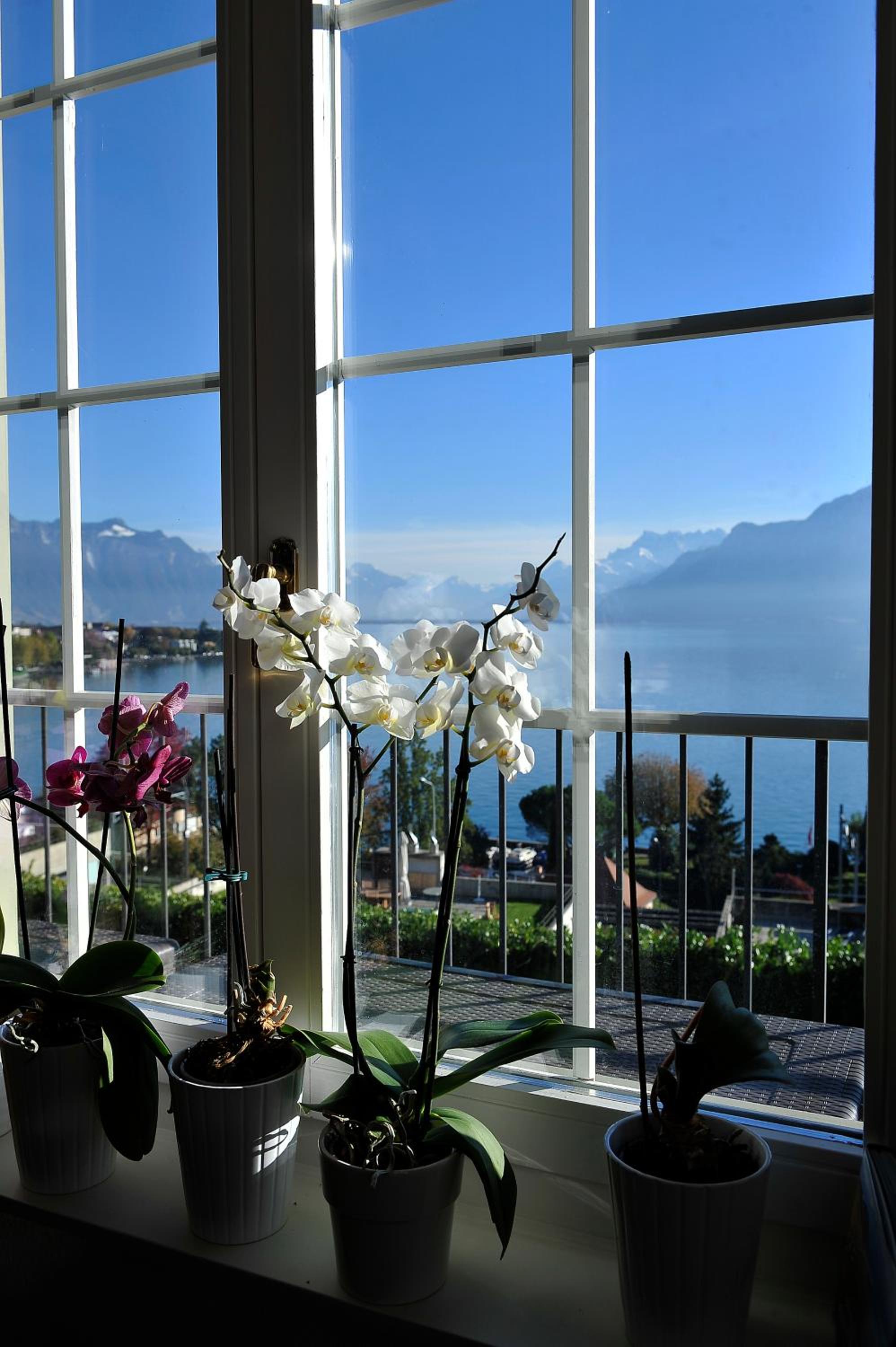 Corseaux Beach rooms-Riviera Beach apartments