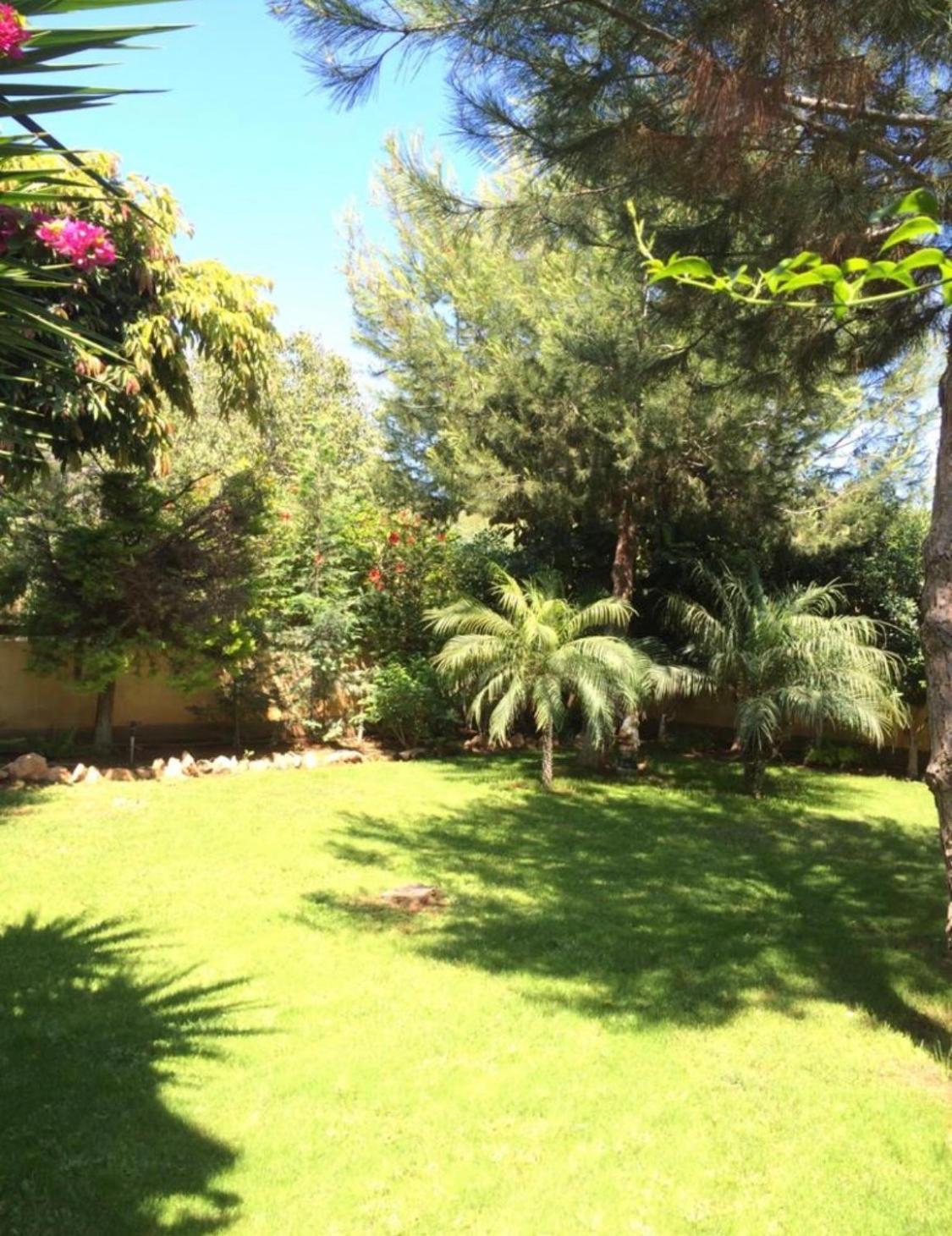 Villa Natalia view 4