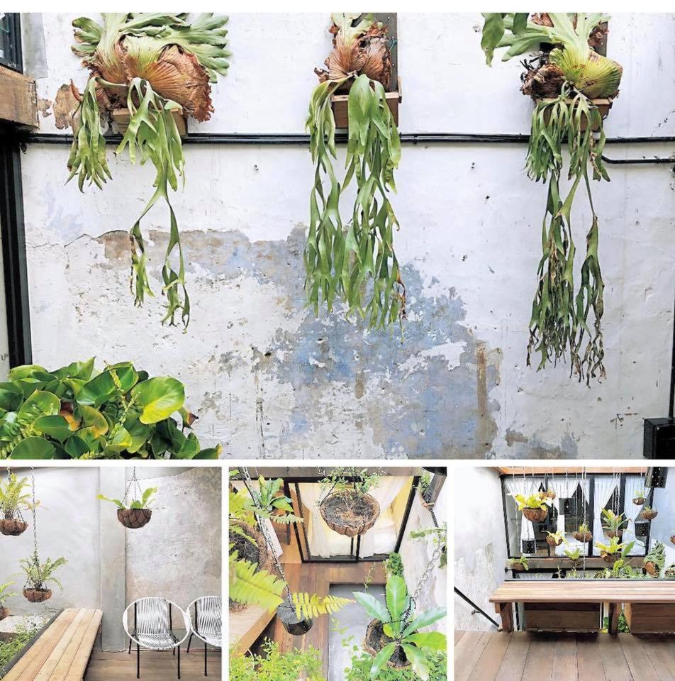 Rimba Jonker With Private Pool -10 Pax 2B/R photo 1