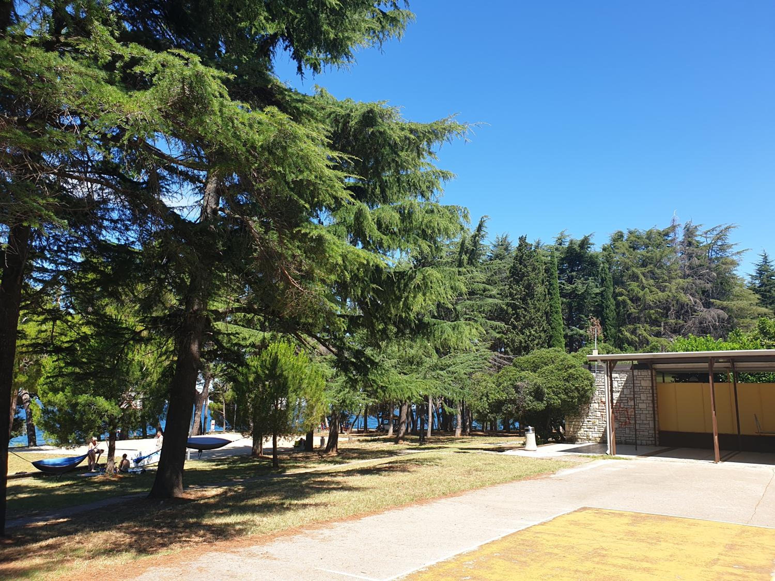 Youth Hostel Pinesta
