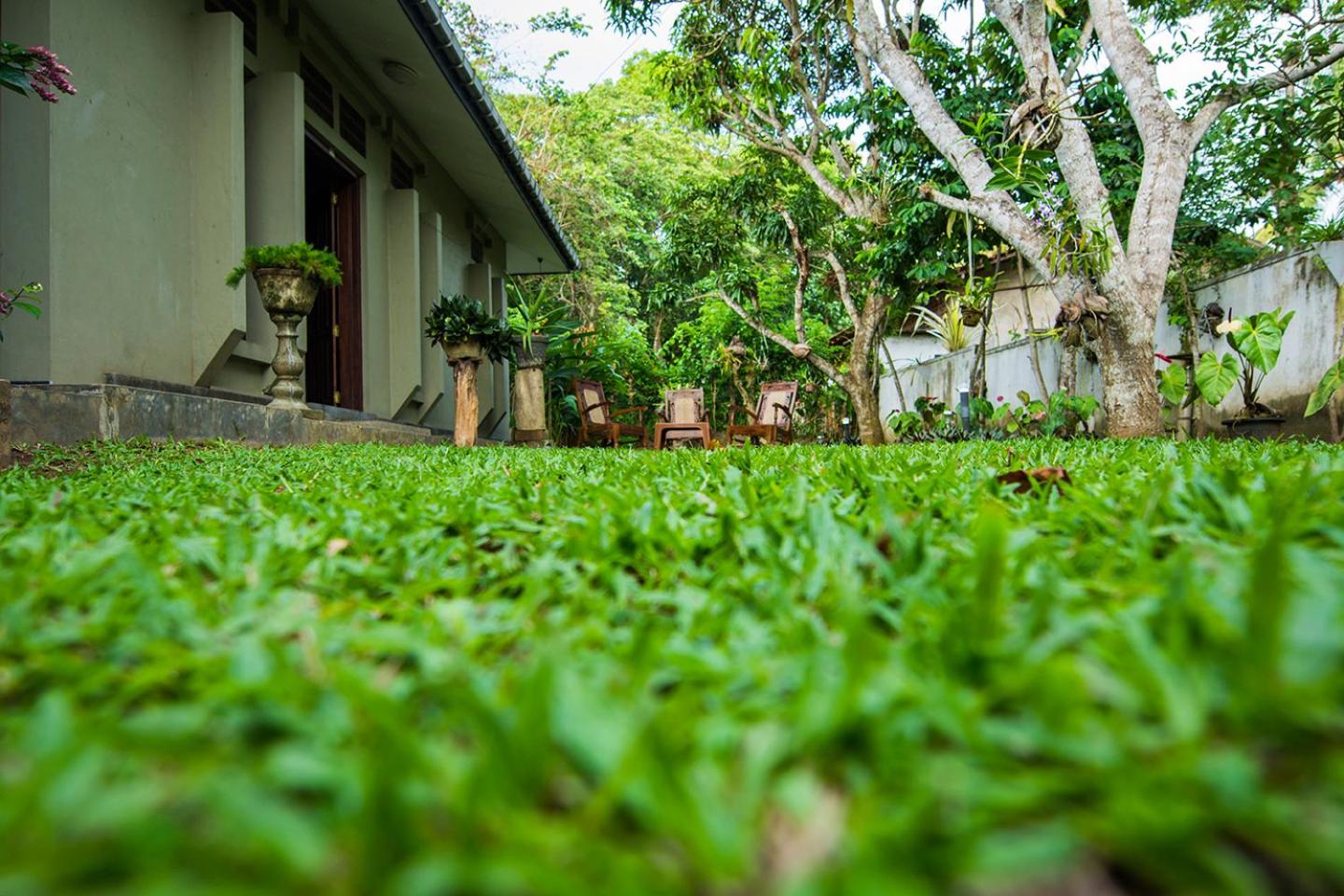 Deniyawatta Bungalow view 3