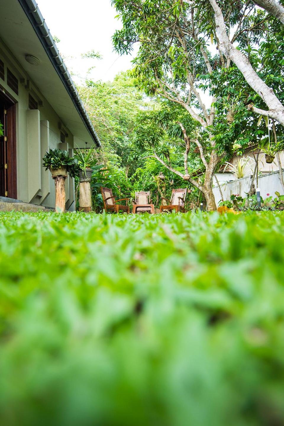 Deniyawatta Bungalow view 5
