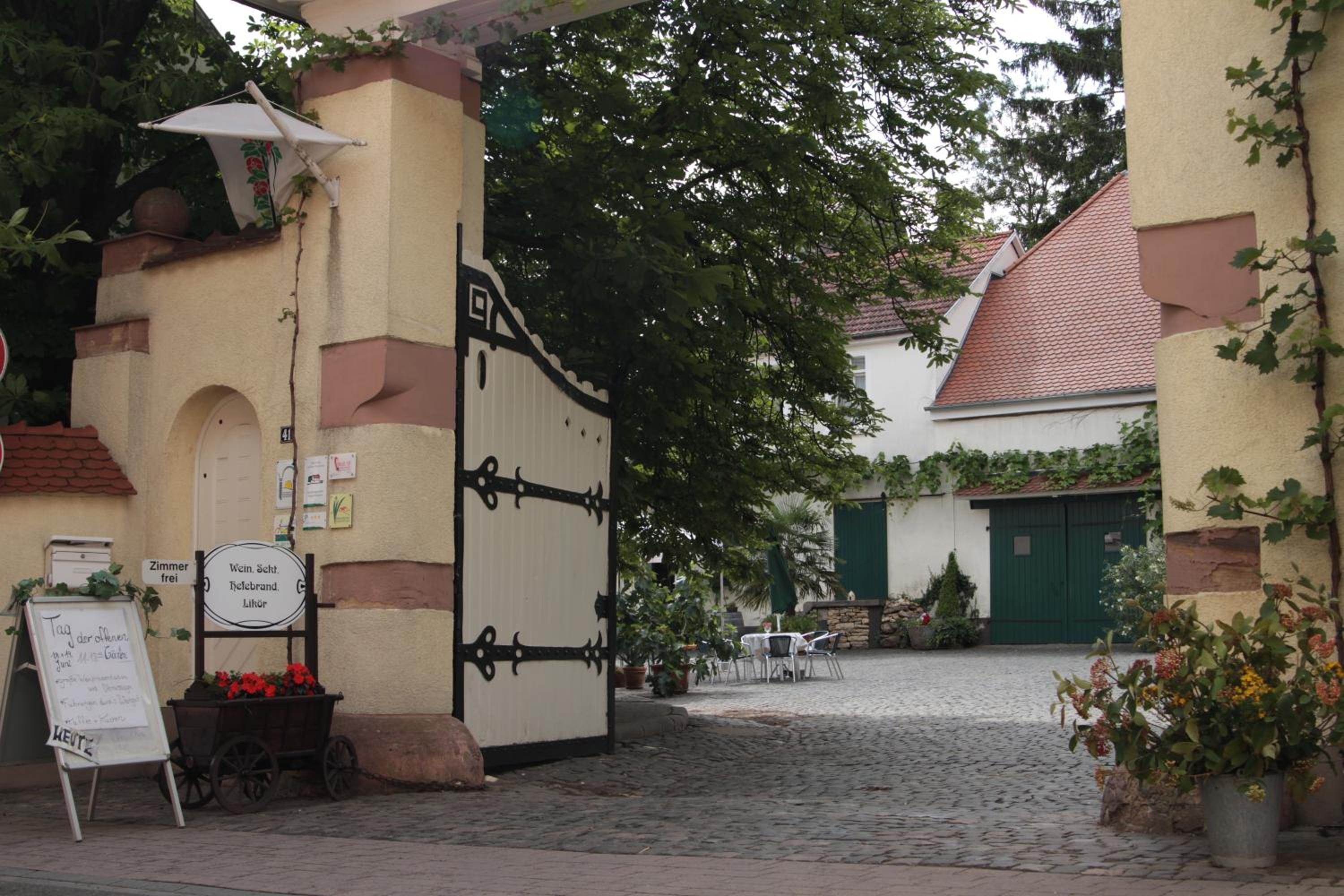 Bio-Weingut, Gästehaus und Kräuterhof