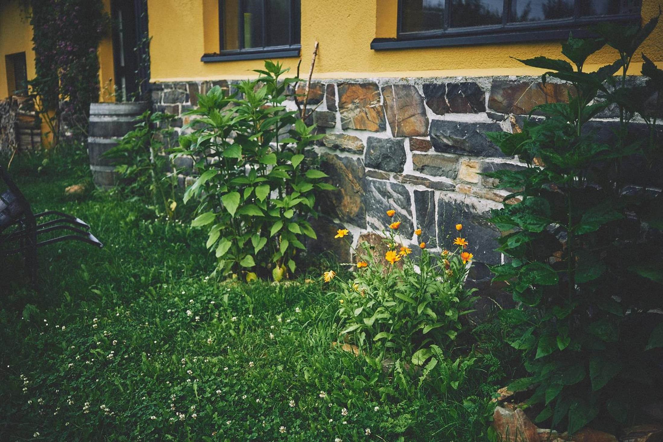 Photo 33