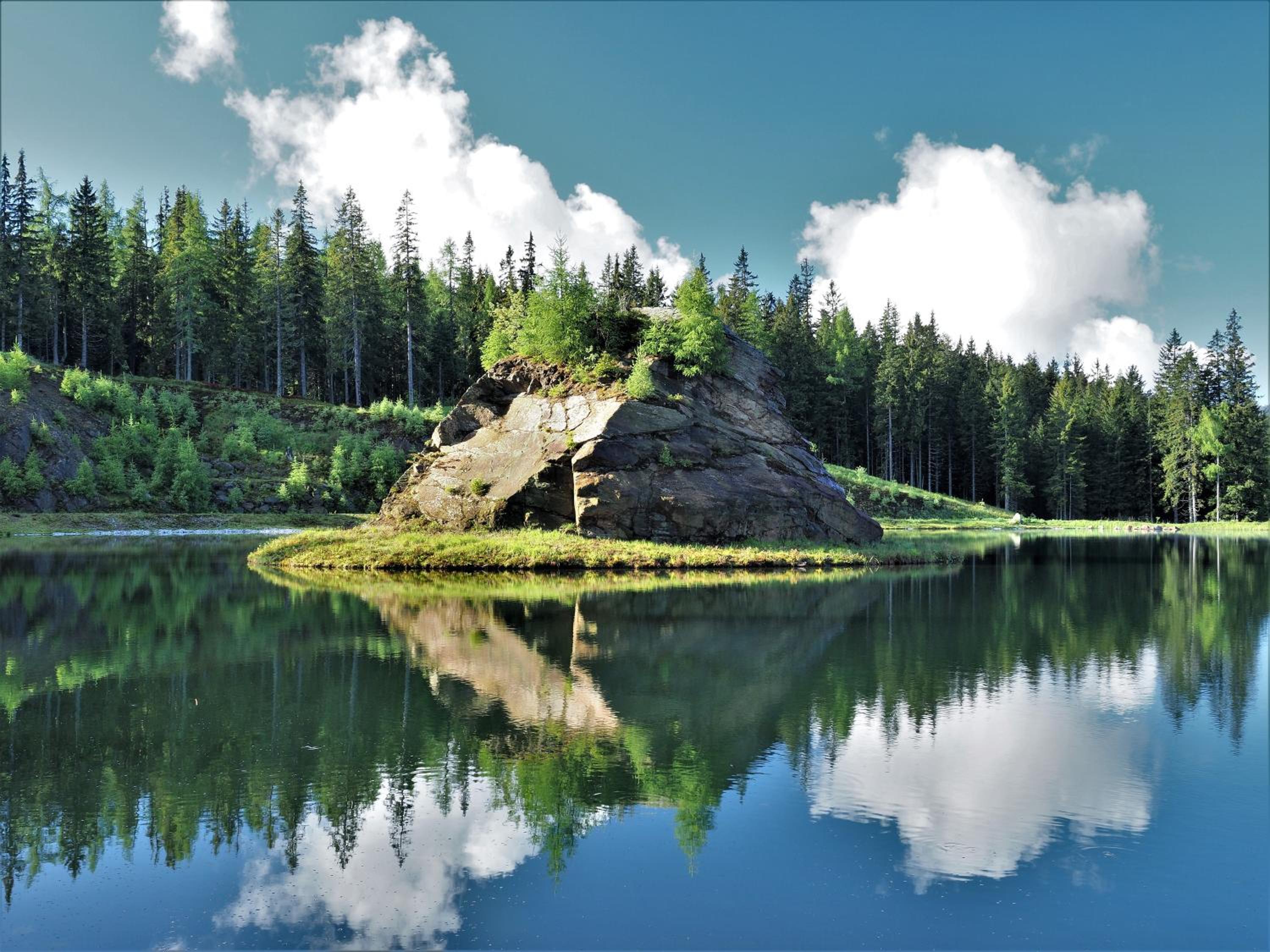 Naturforsthaus Gartenblick für Hunde - und naturverbundene Menschen