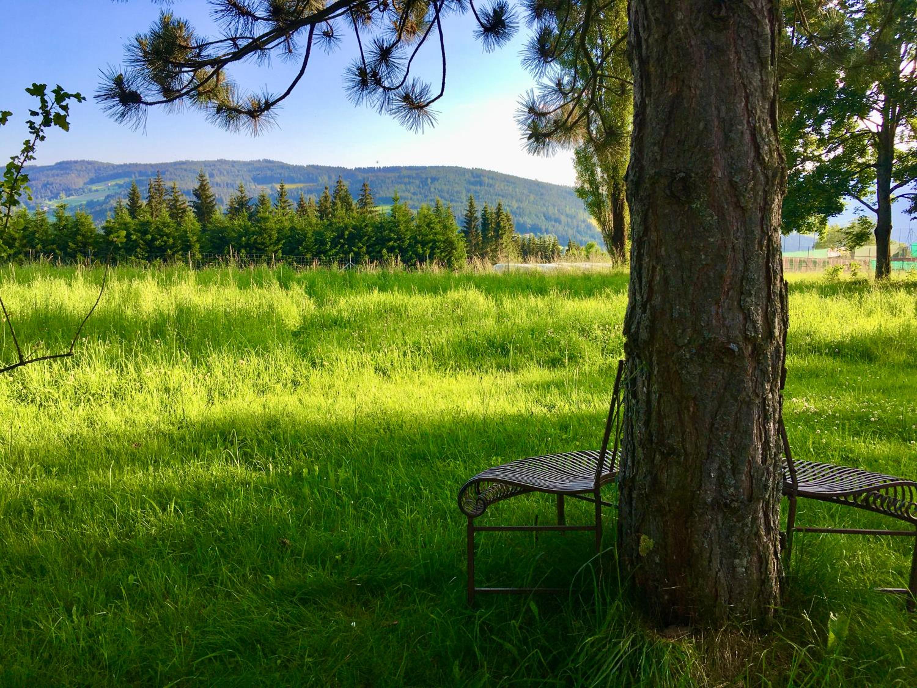 Naturforsthaus Eddas Zimmer für Hunde - und naturverbundene Menschen