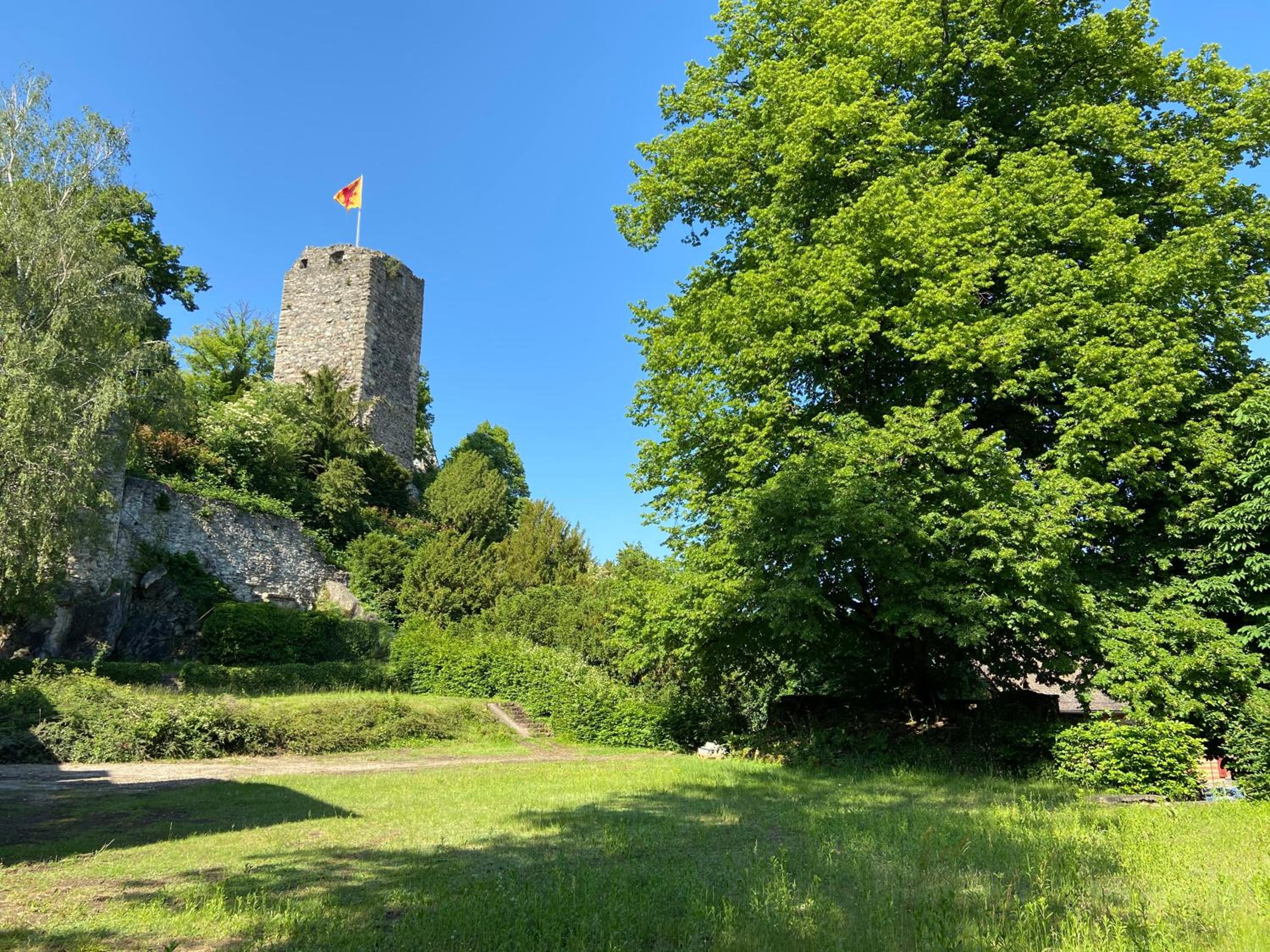 Photo 15