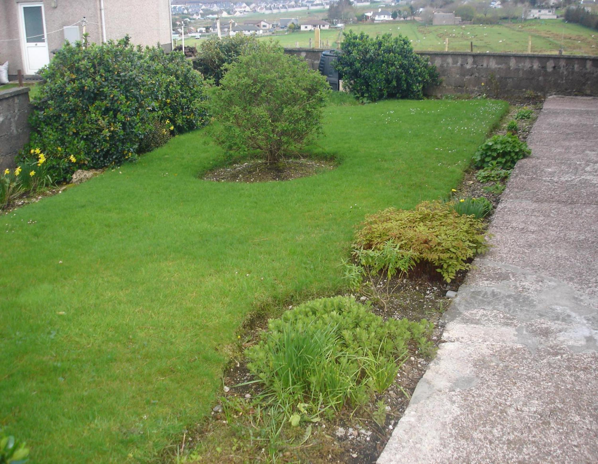 Photo 25