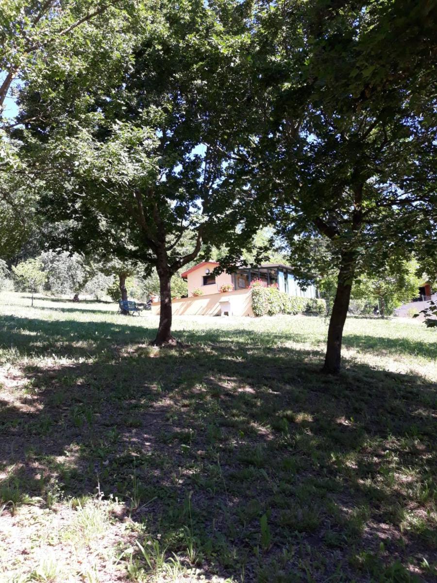 La casetta nel prato photo 3