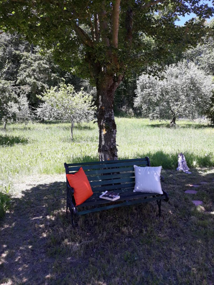 La casetta nel prato photo 2