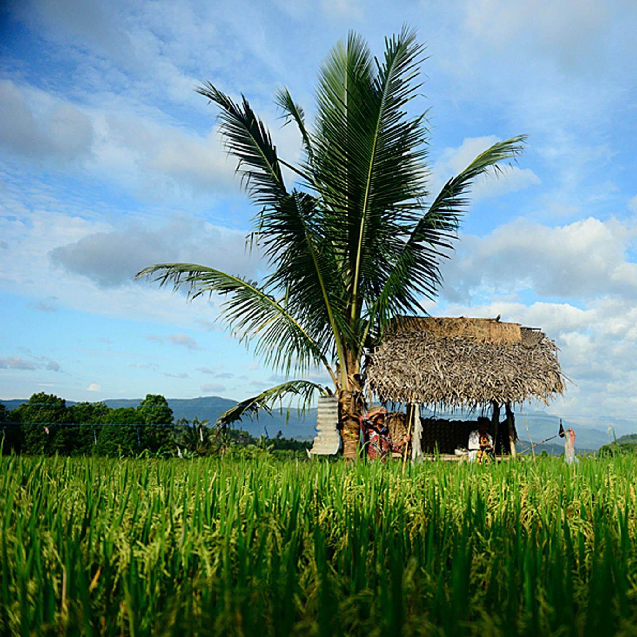 Sanak Retreat Bali