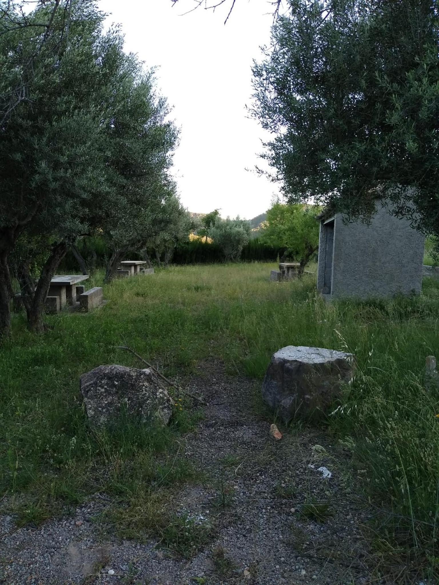 Photo 36