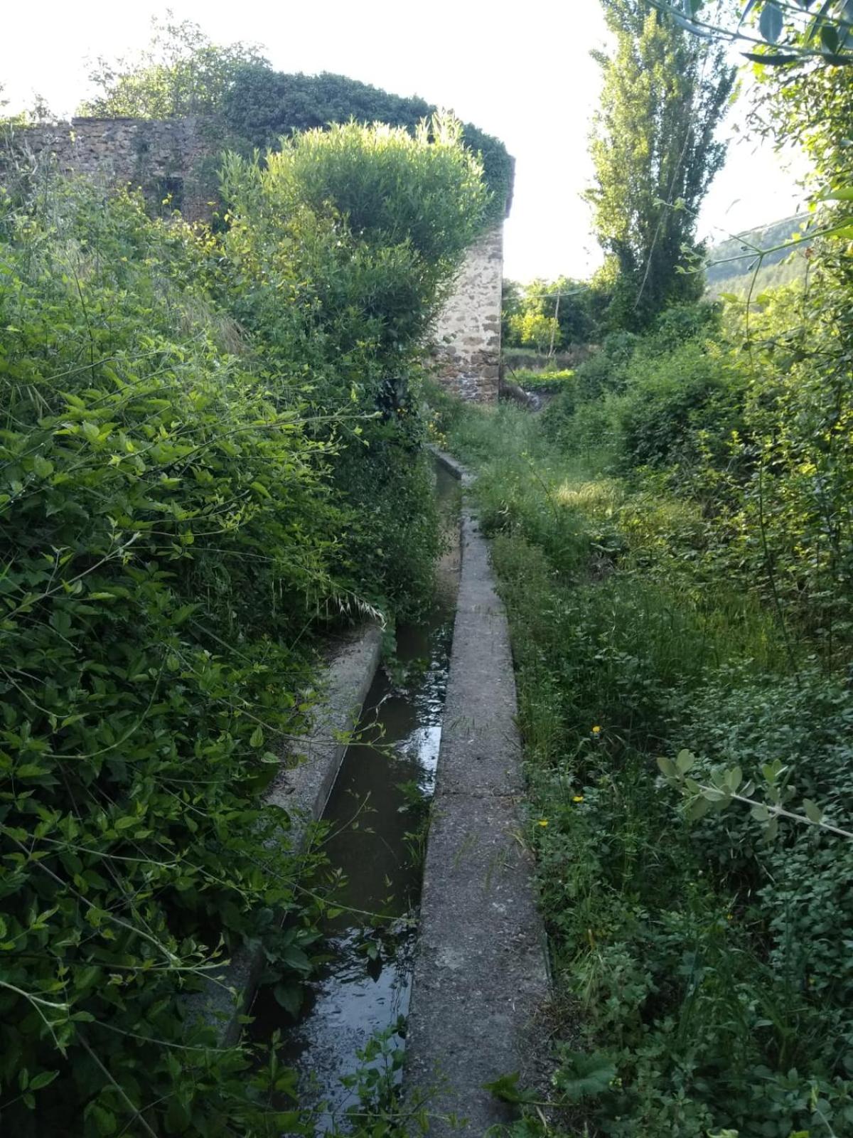 Photo 32