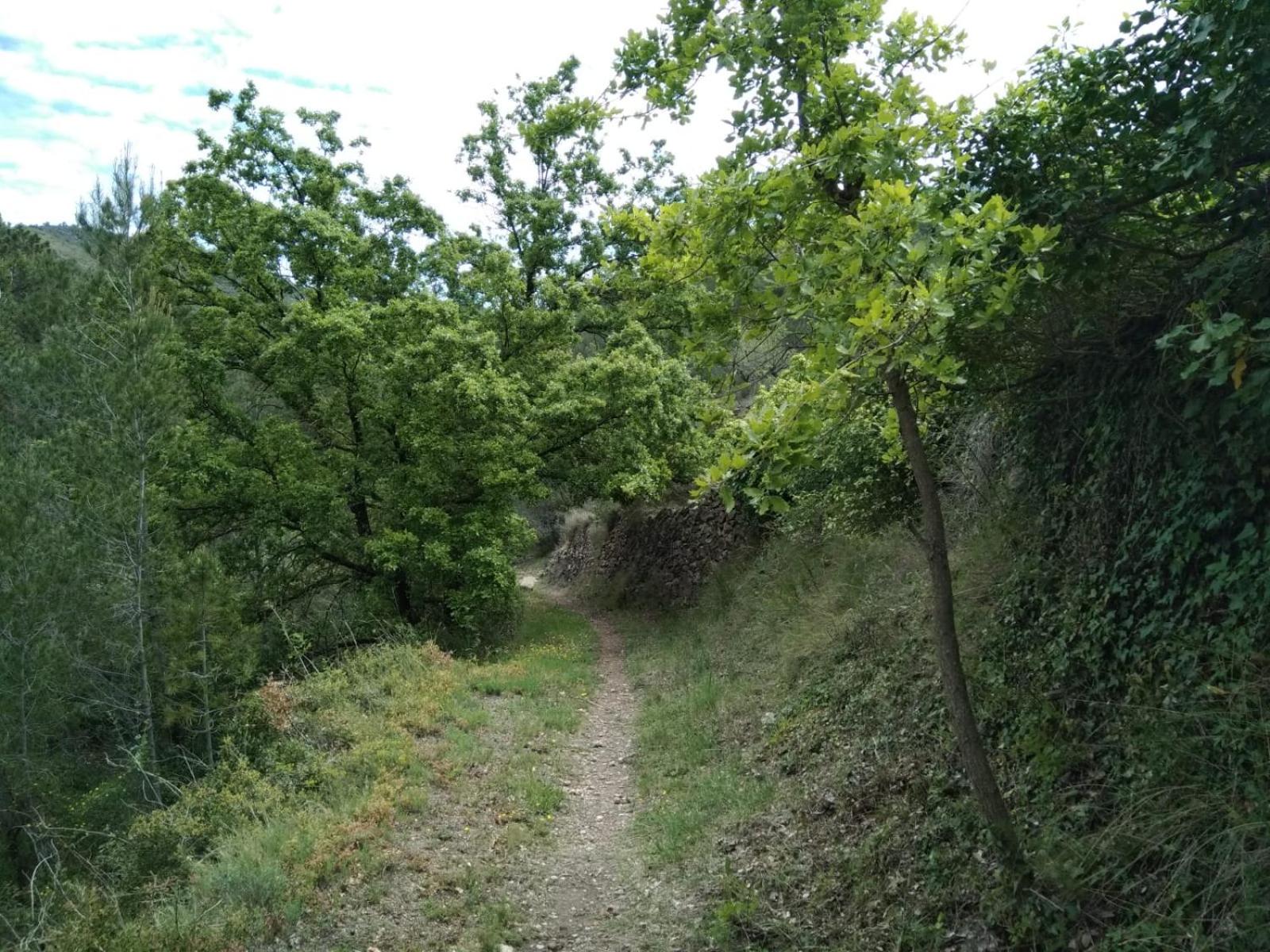 Photo 29