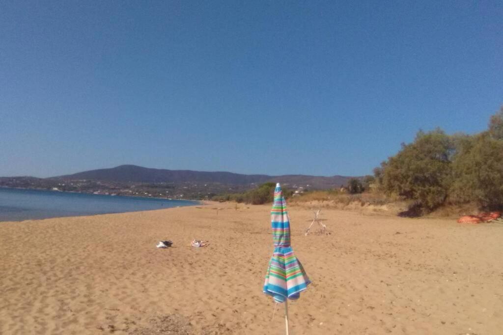 Über den Dächern von Koroni view 4