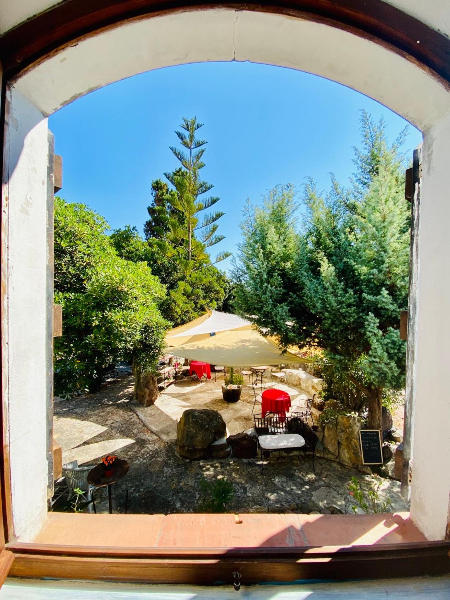 Vign'Alva, photo 43