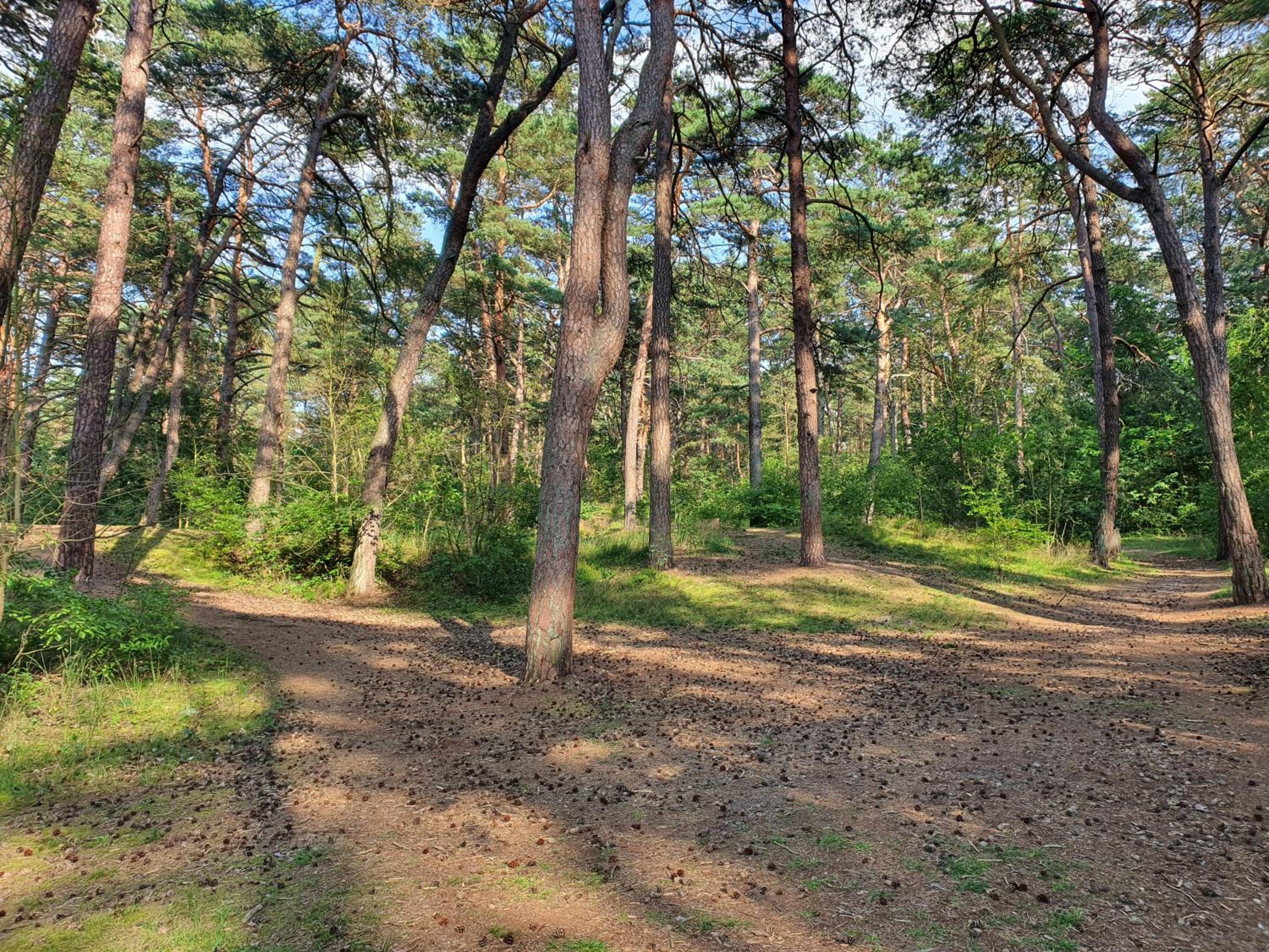 Domek blisko plazy view 5