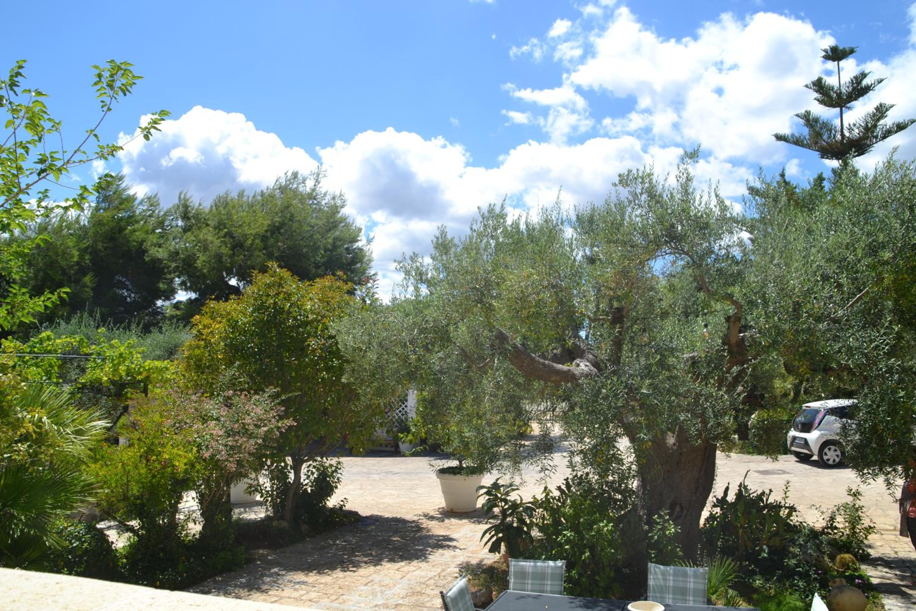 Agriturismo Salinola