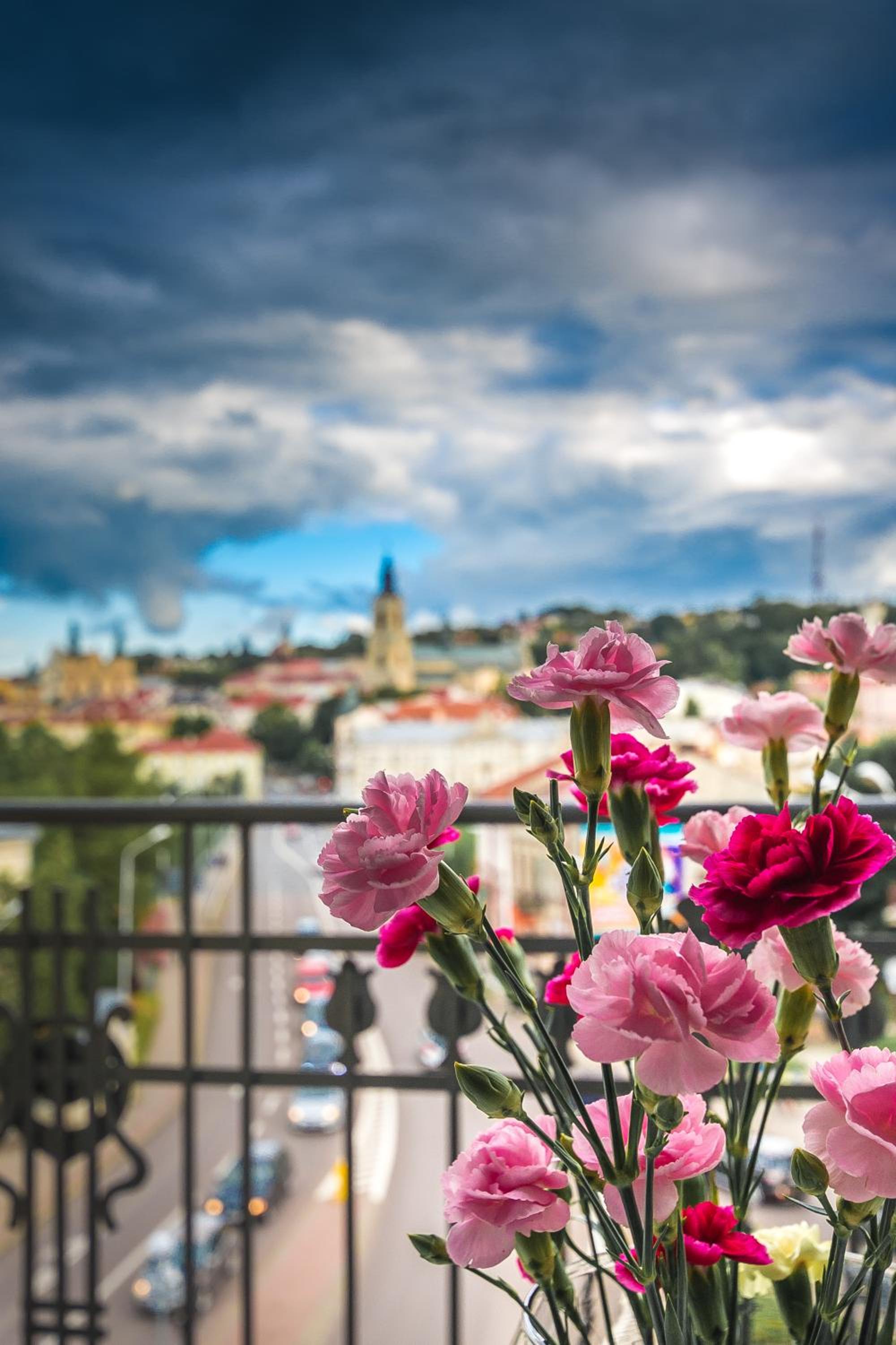 Panorama Przemyśl view 3