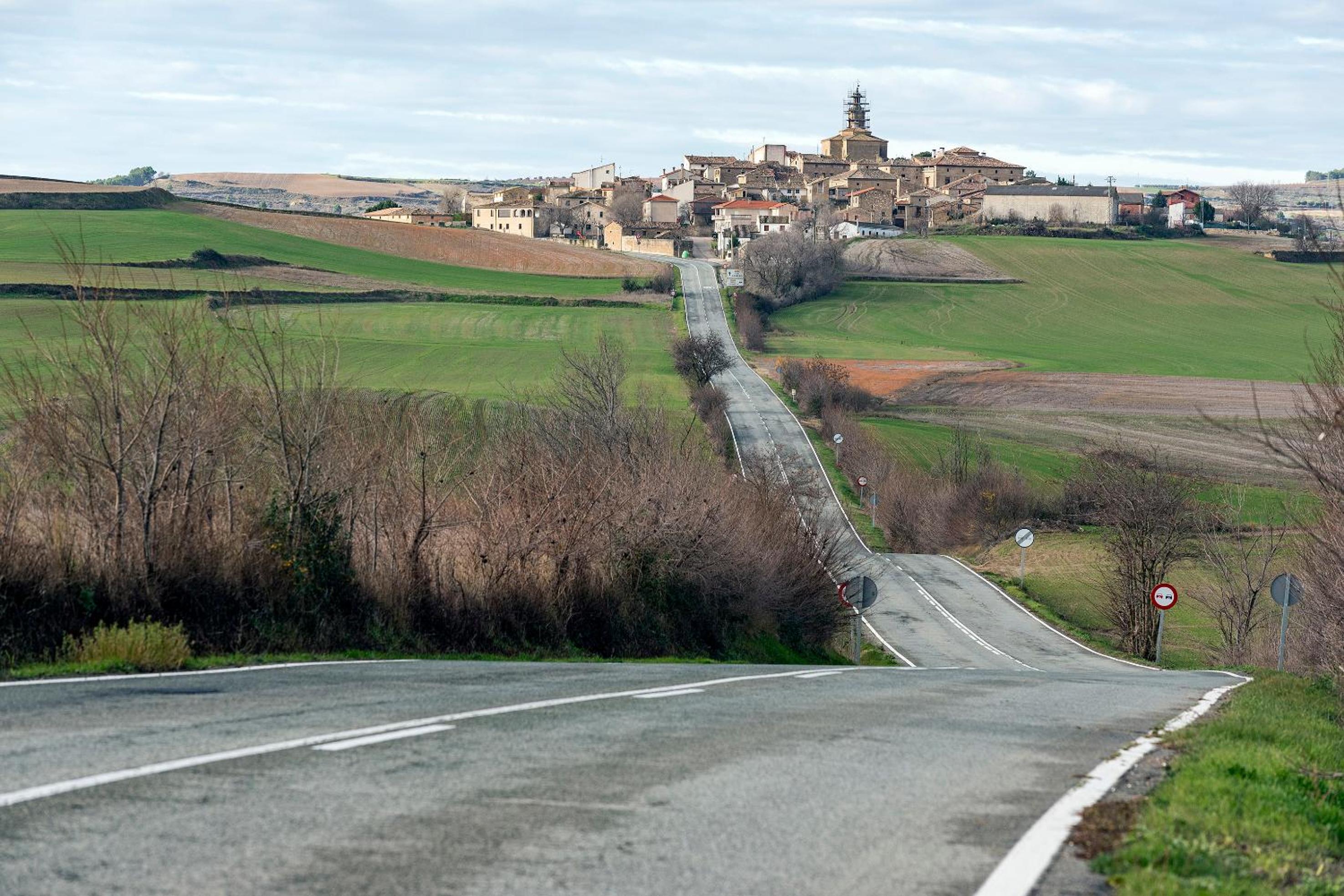 Photo 41