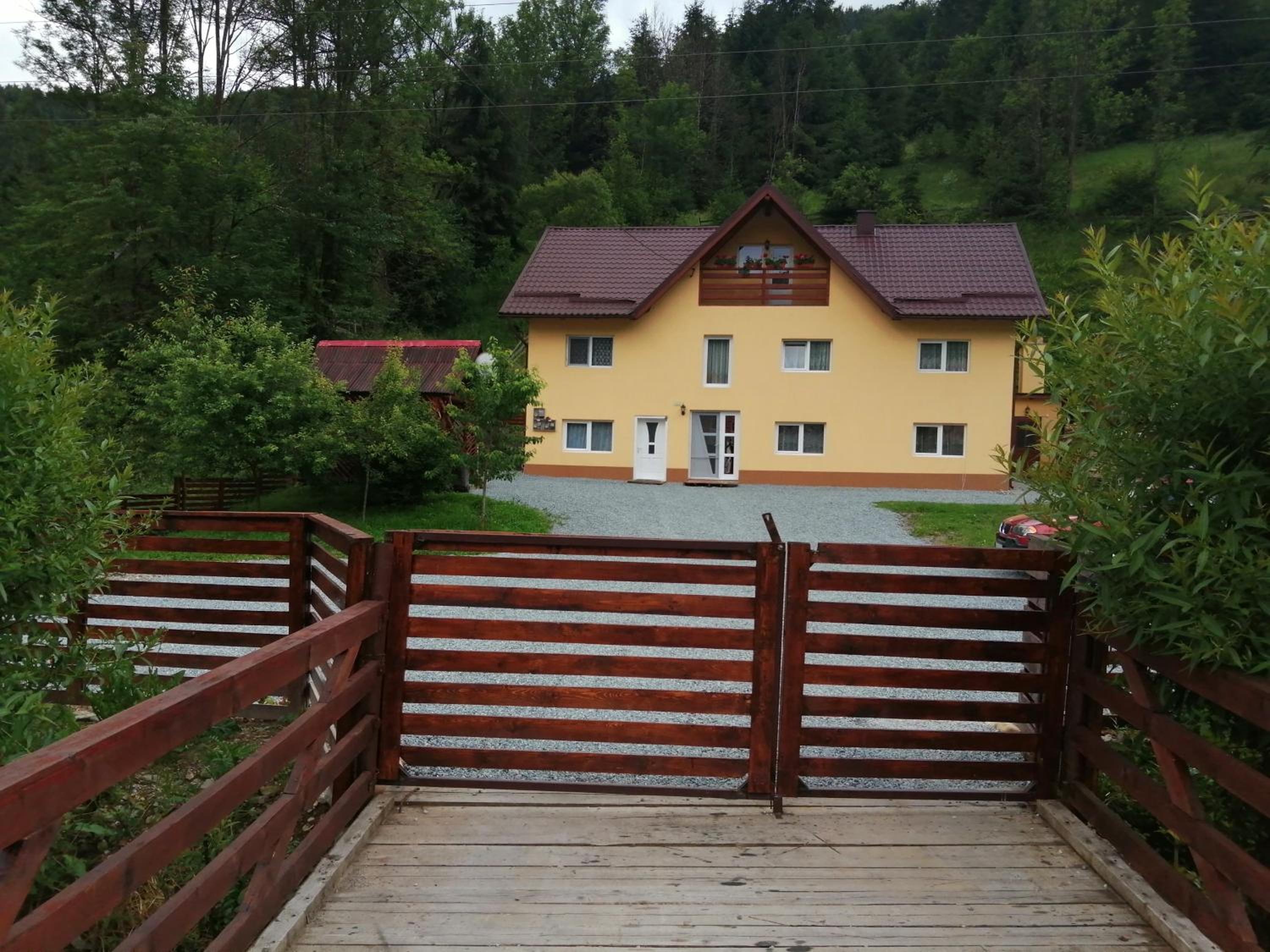 Photo 11