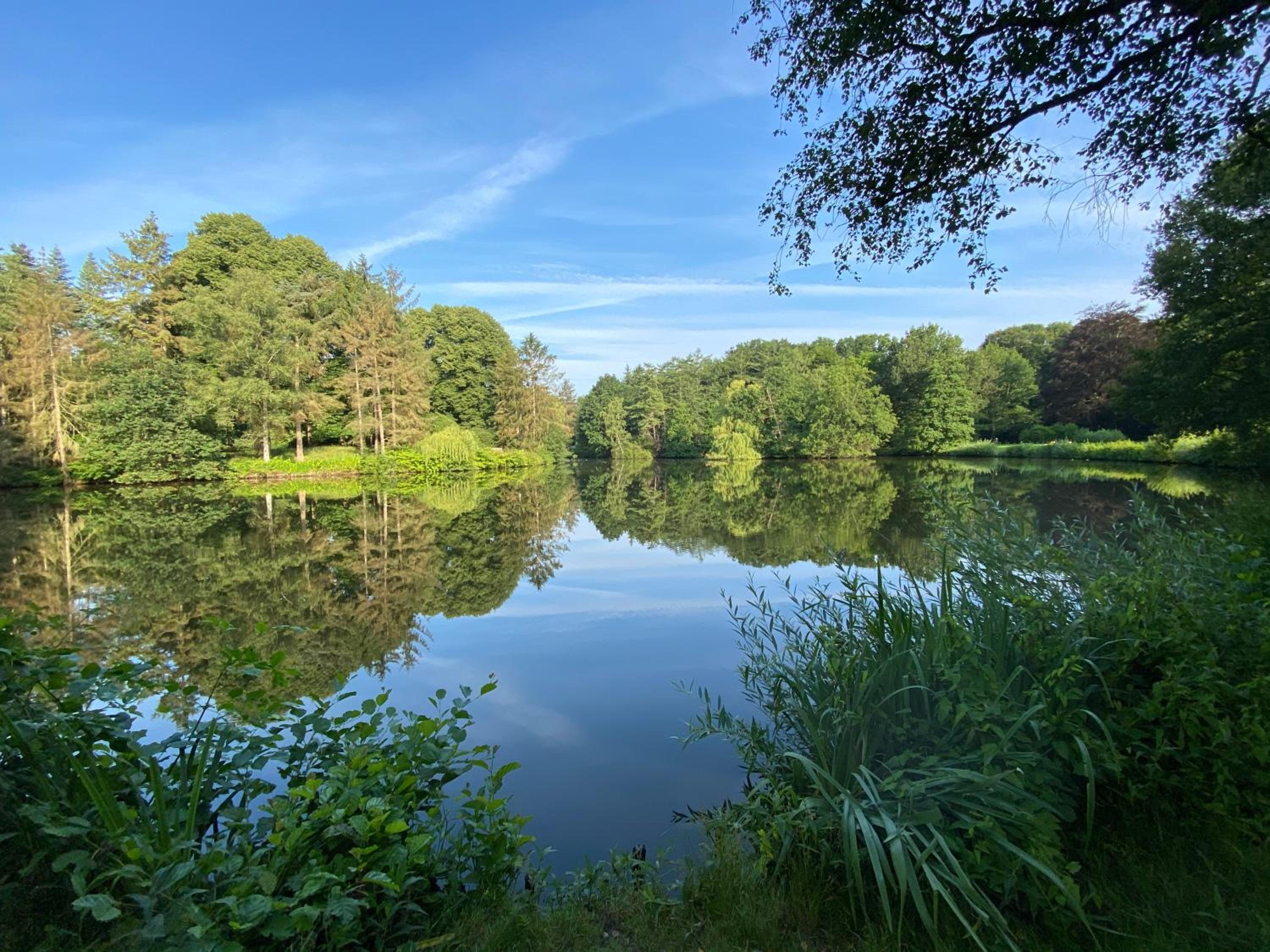 Apartment am Bürgerpark