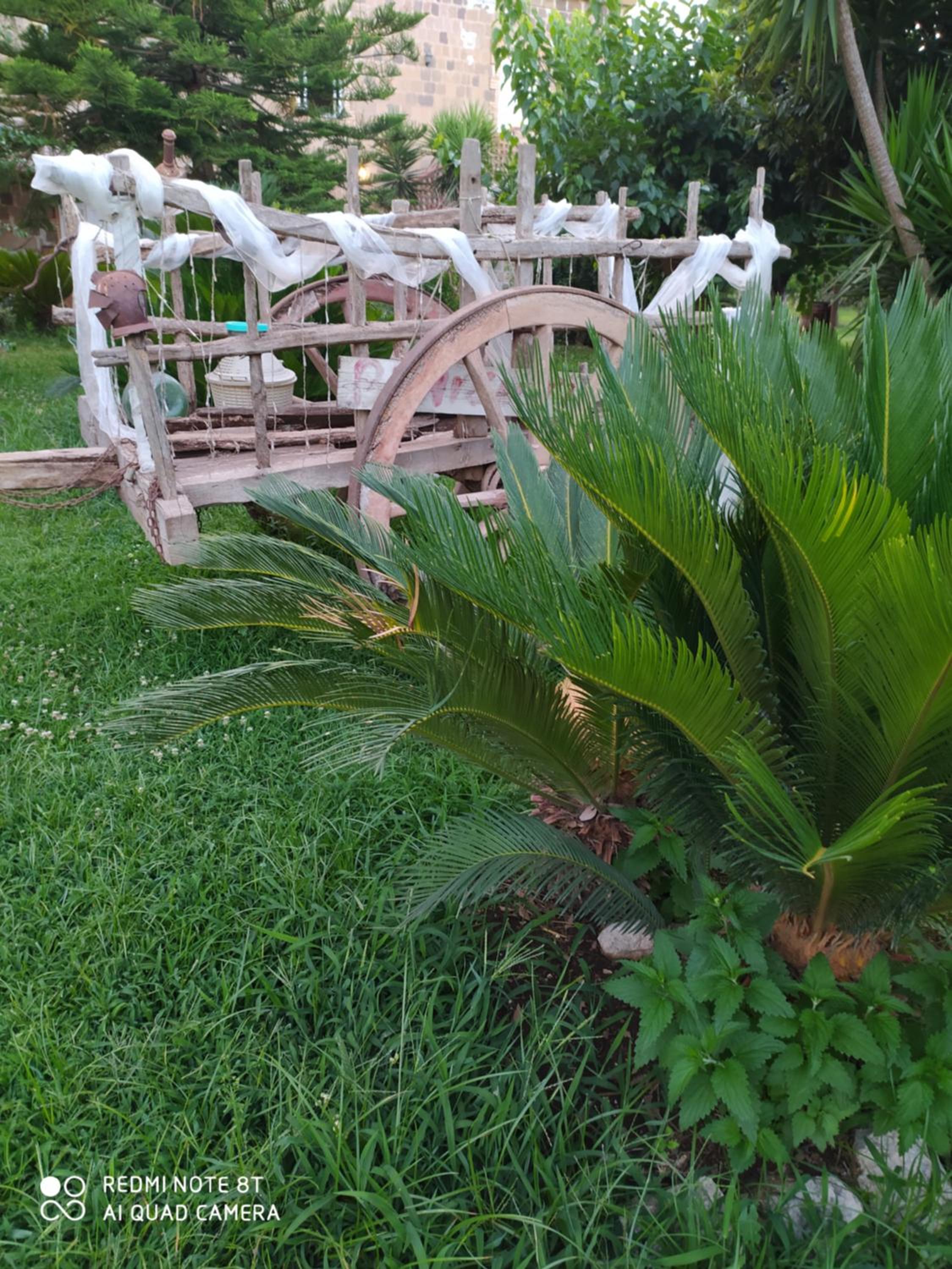 Decri resort, photo 95