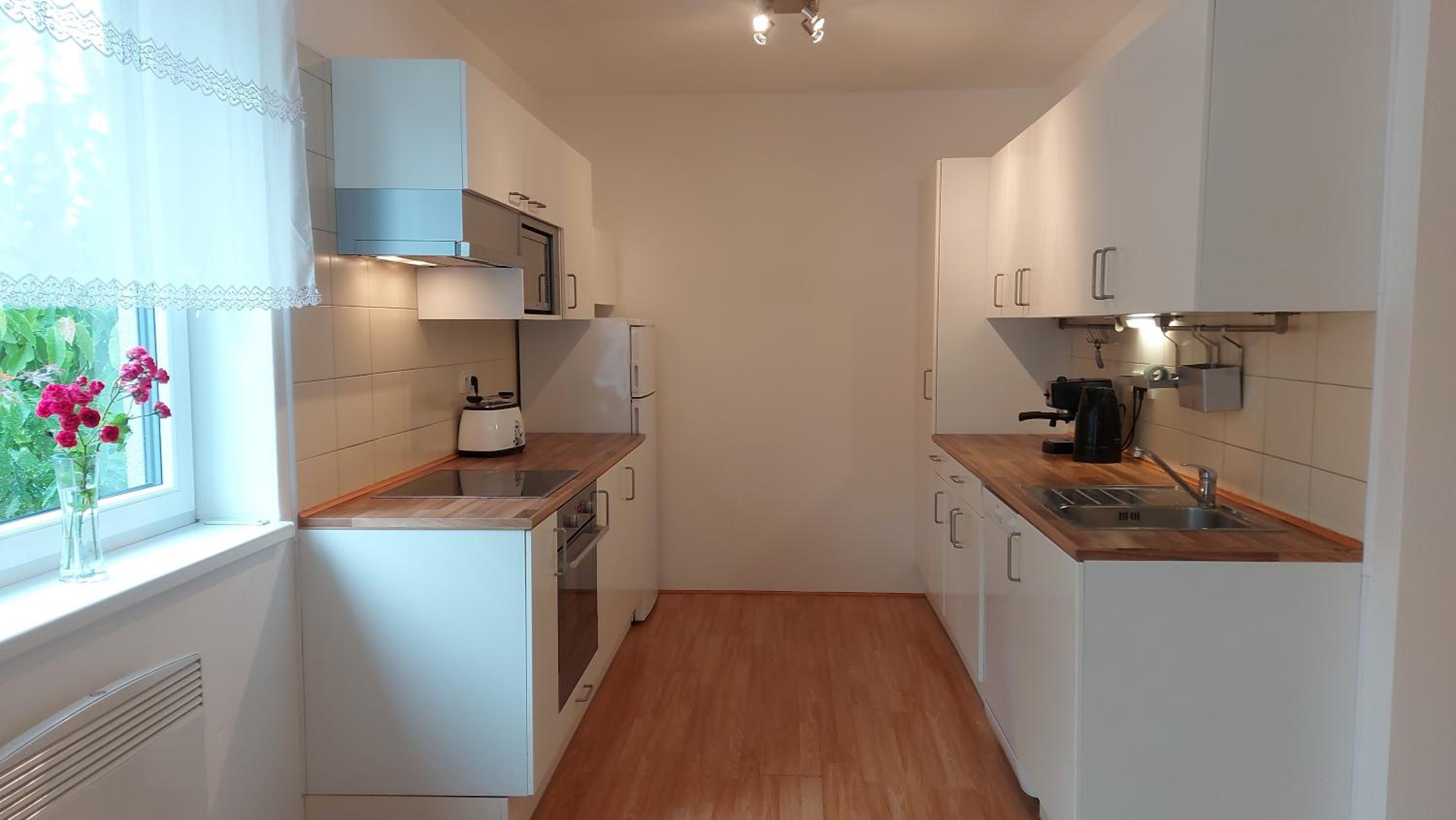 Domek v Kosově