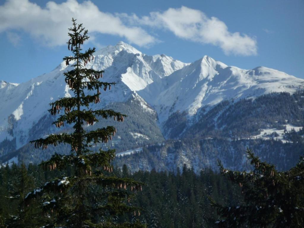 Photo 25