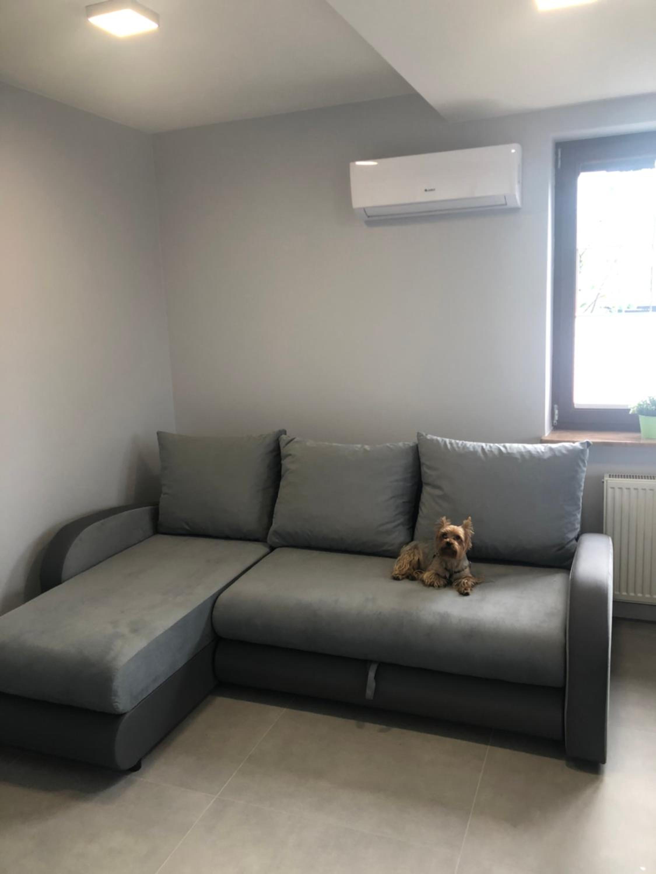Klimatyzowane Apartamenty i Pokoje przy Targach Kielce, photo 56