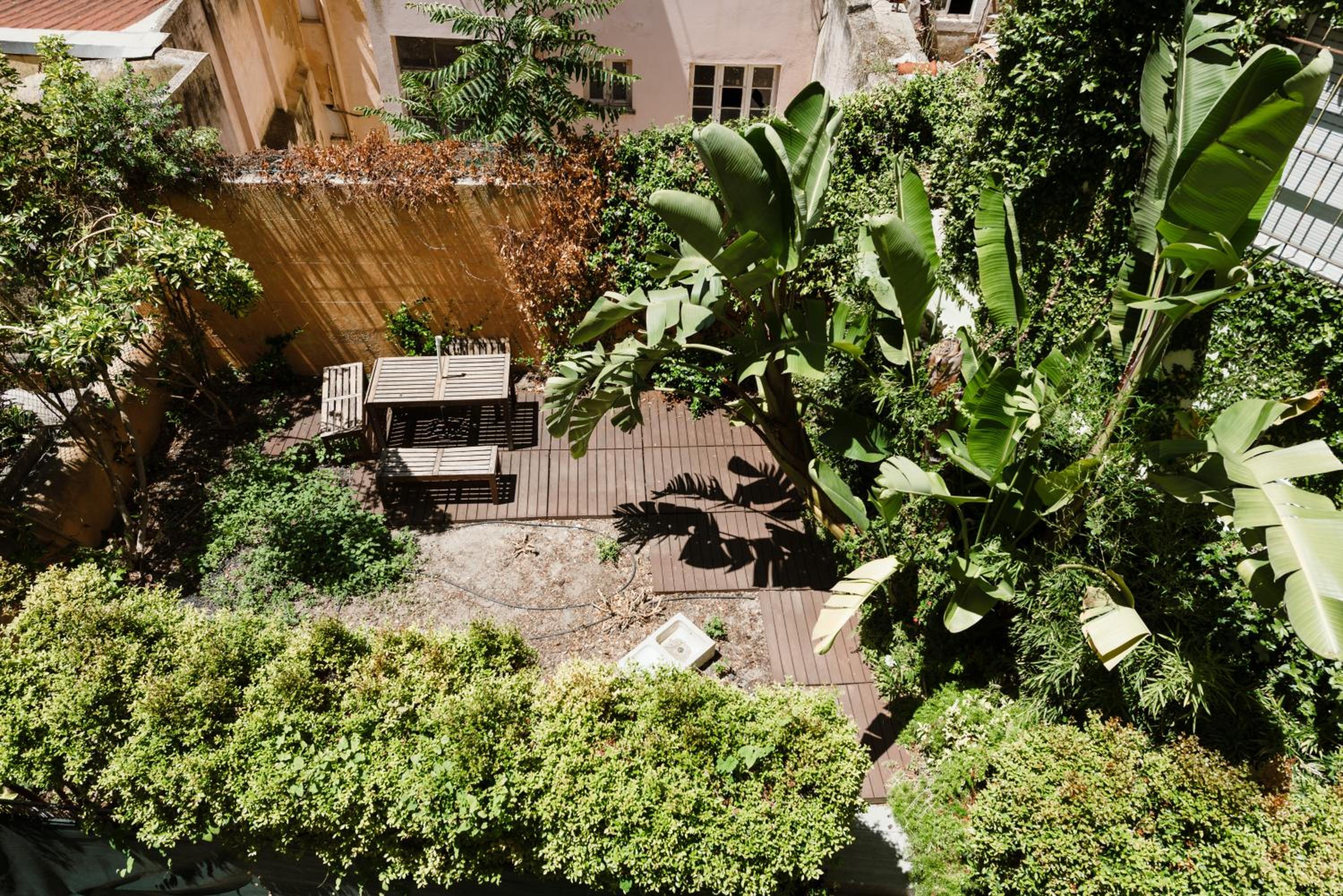 Photo 24