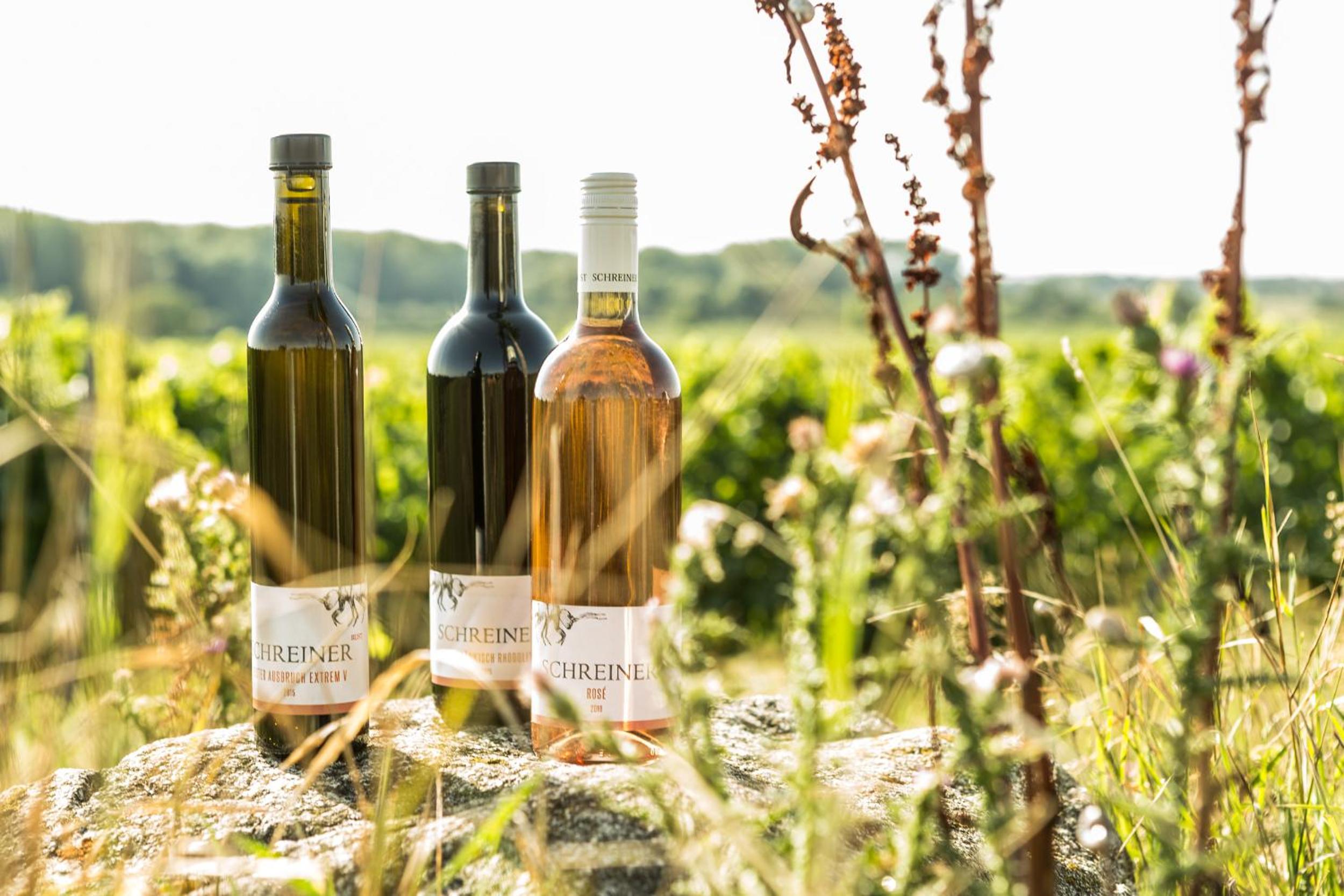 Wohnatelier im Bioweingut view 4