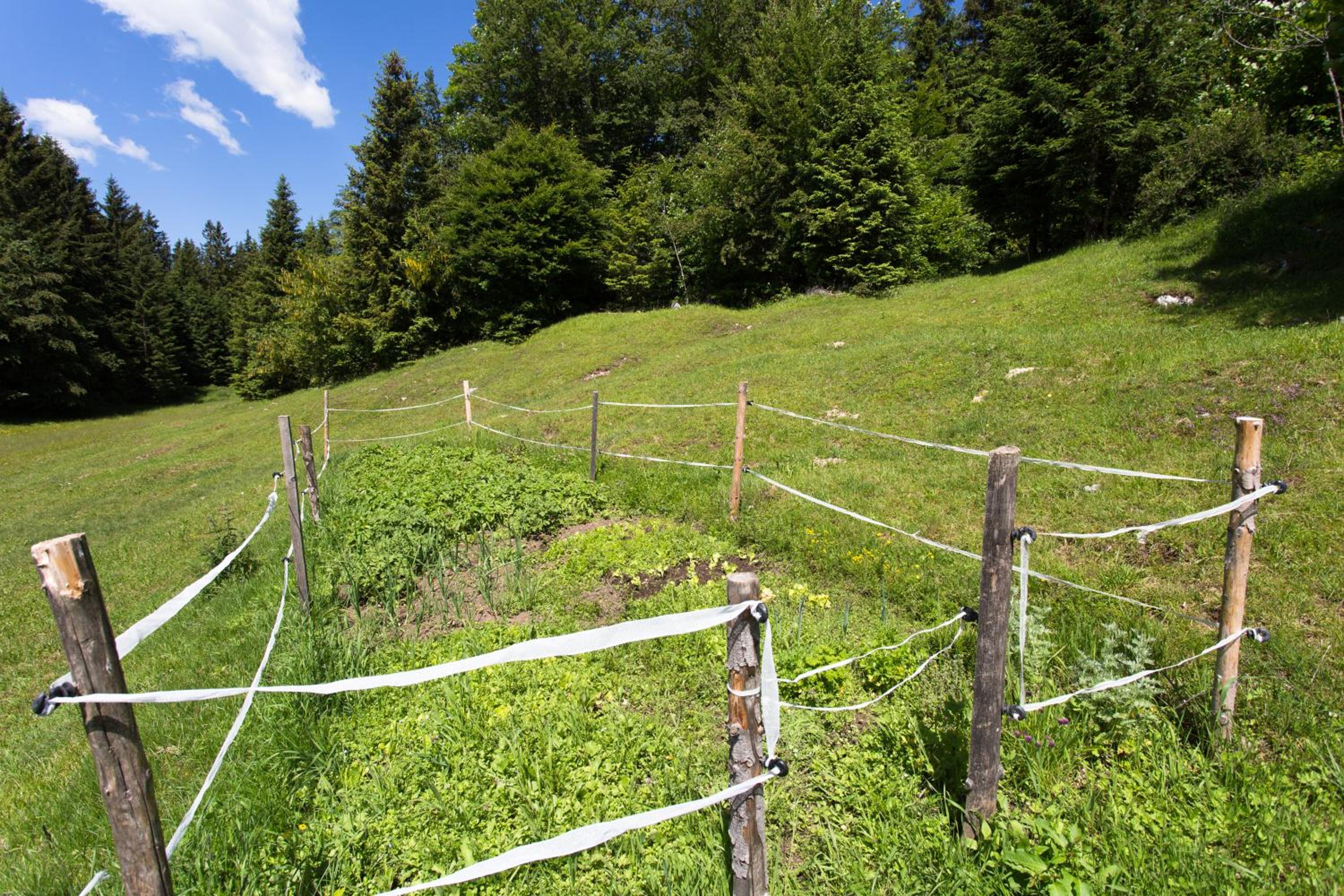 Photo 27