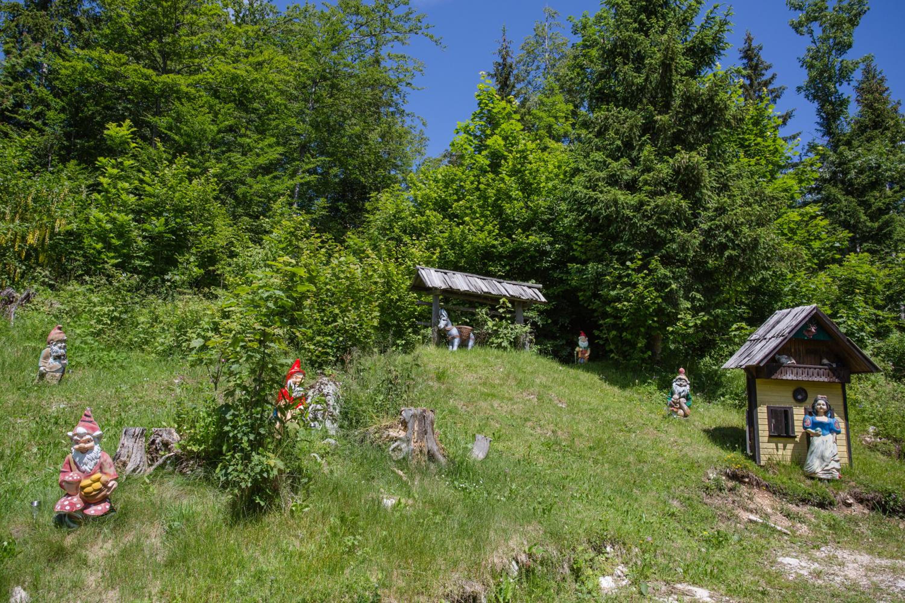 Photo 9