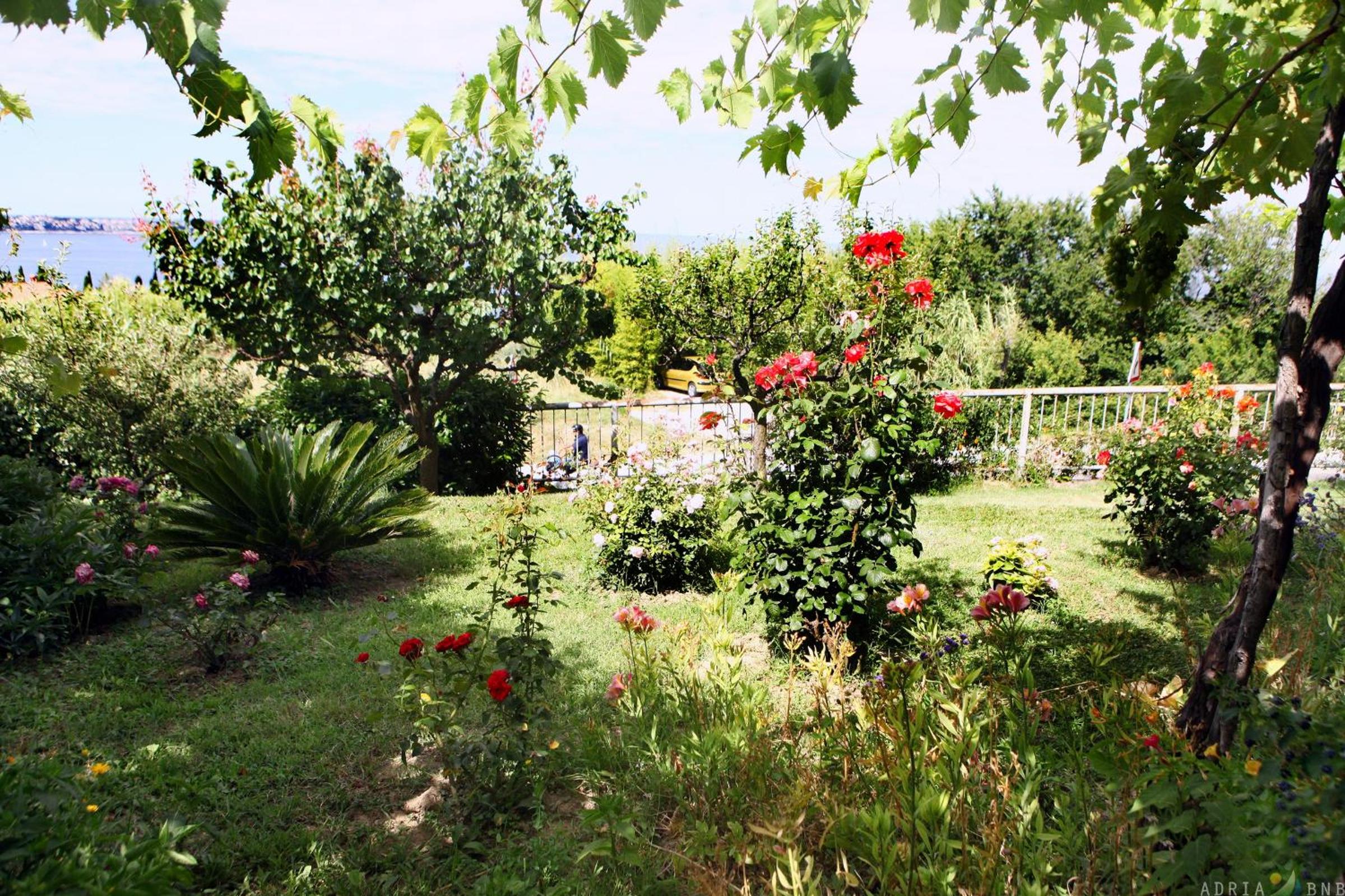 Apartmaji ORKO s pogledom na morje - Sea View Apartments ORKO view 4
