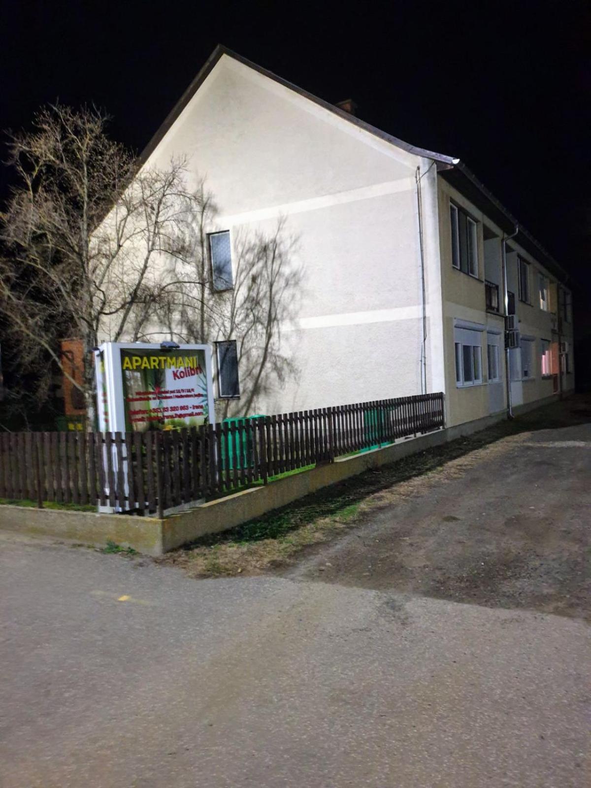 Photo 12
