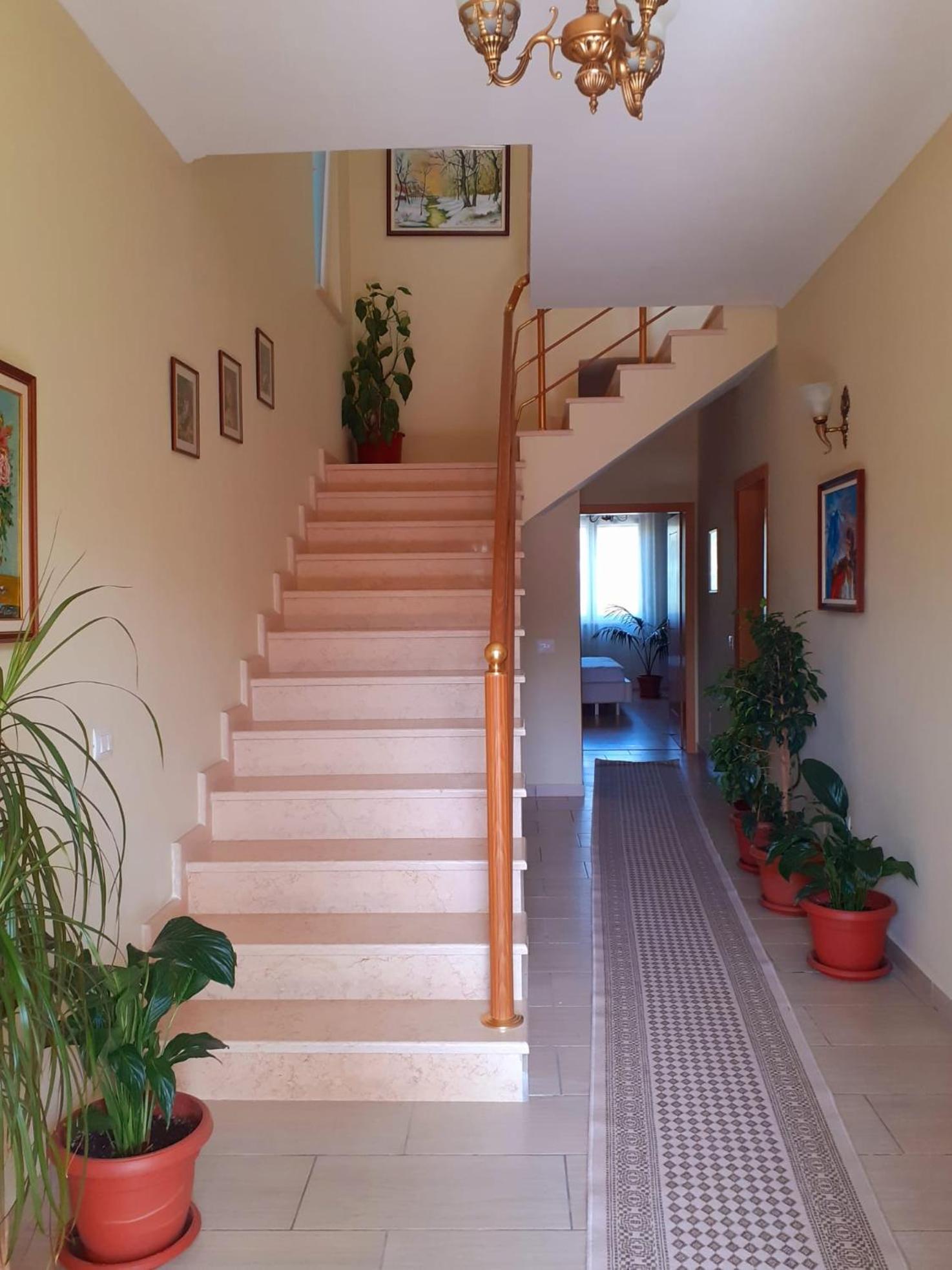 Guest House Zadeja