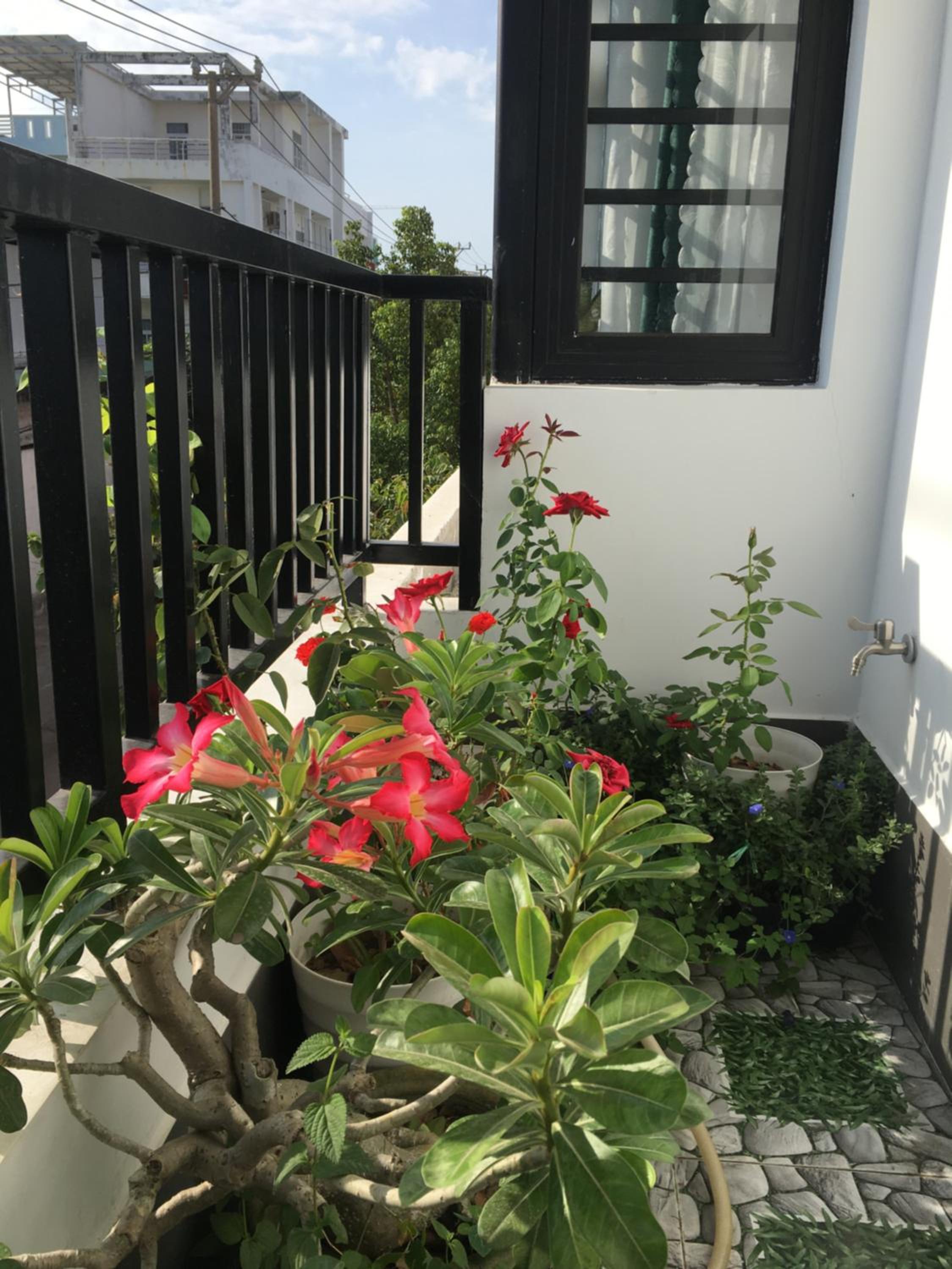 Ken King 2 - homestay gần biển giá rẻ view 5