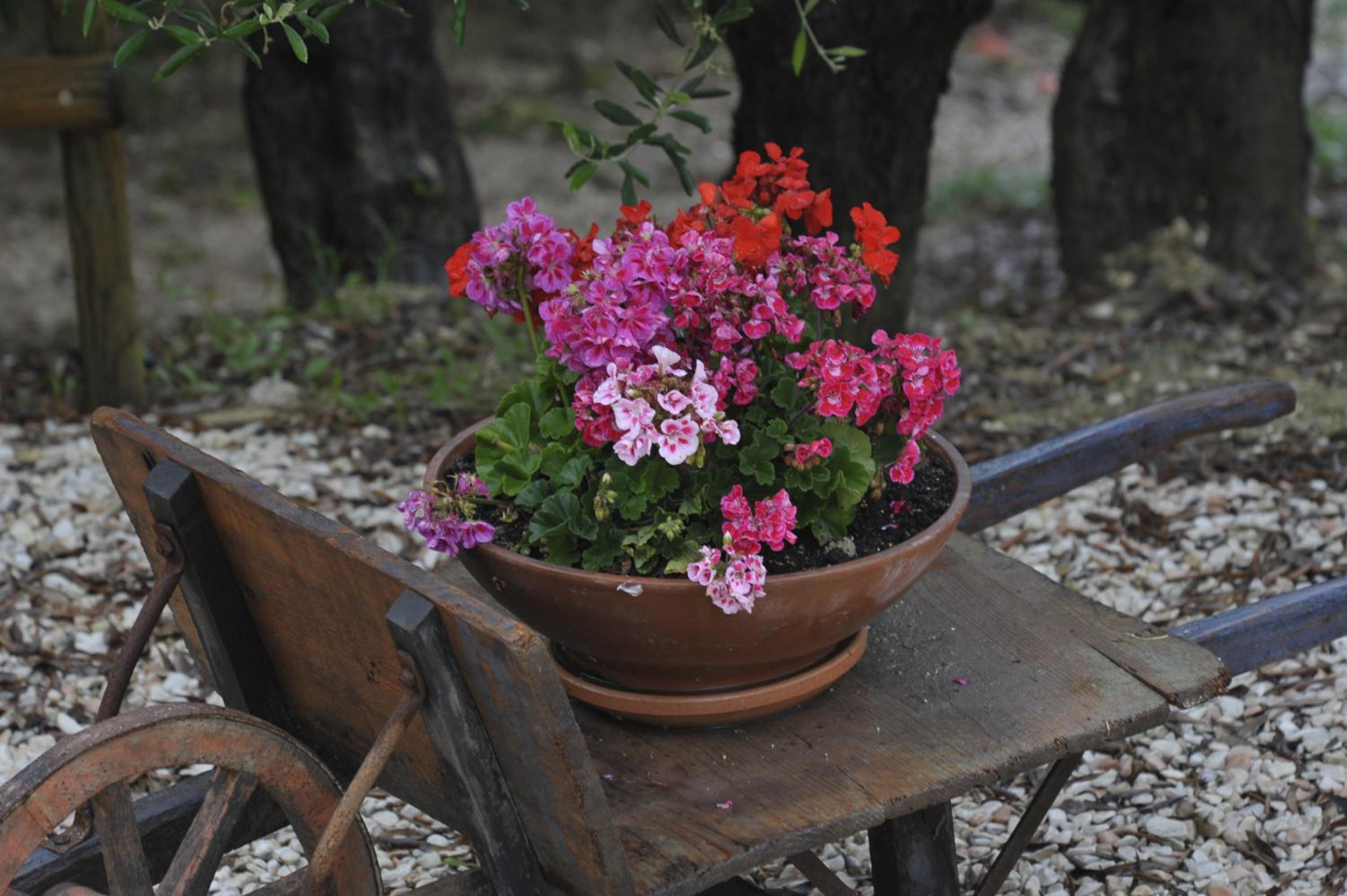 Agriturismo Al Crepuscolo